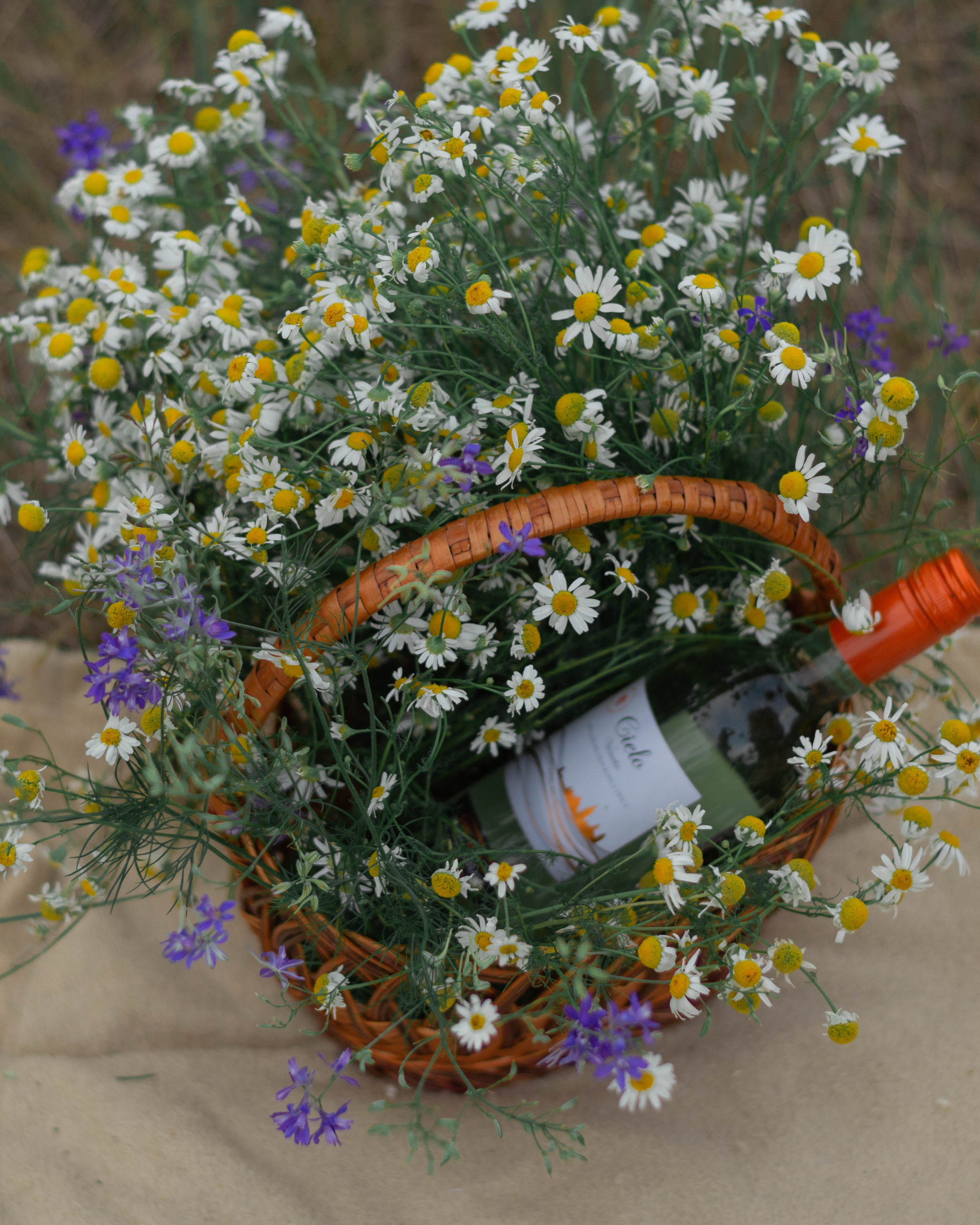 Анастасия. Фотограф Воронеж Кристина Золотарёва