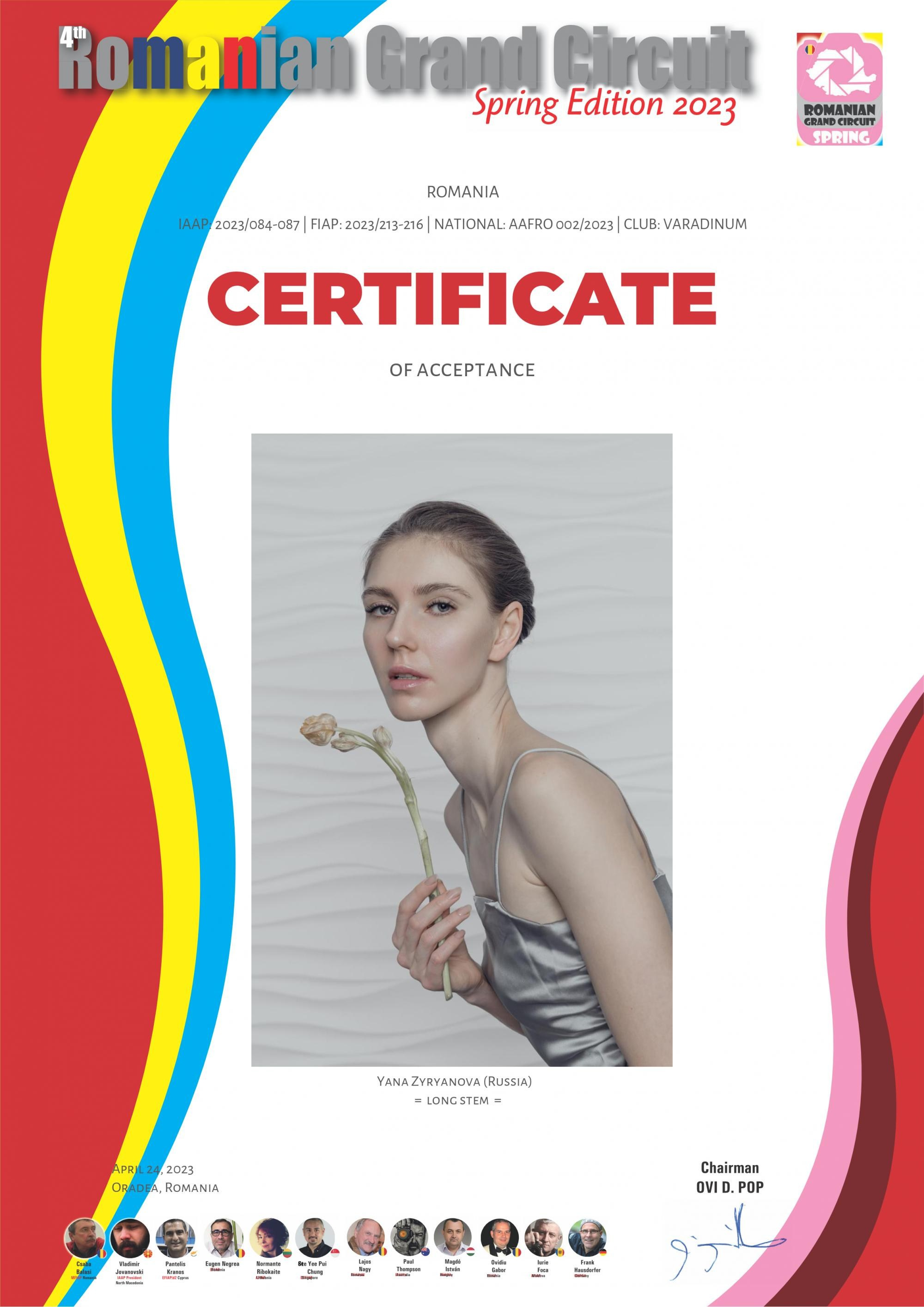 Дипломы. Фотограф Зырянова Яна, Снежинск, Екатеринбург, Челябинск