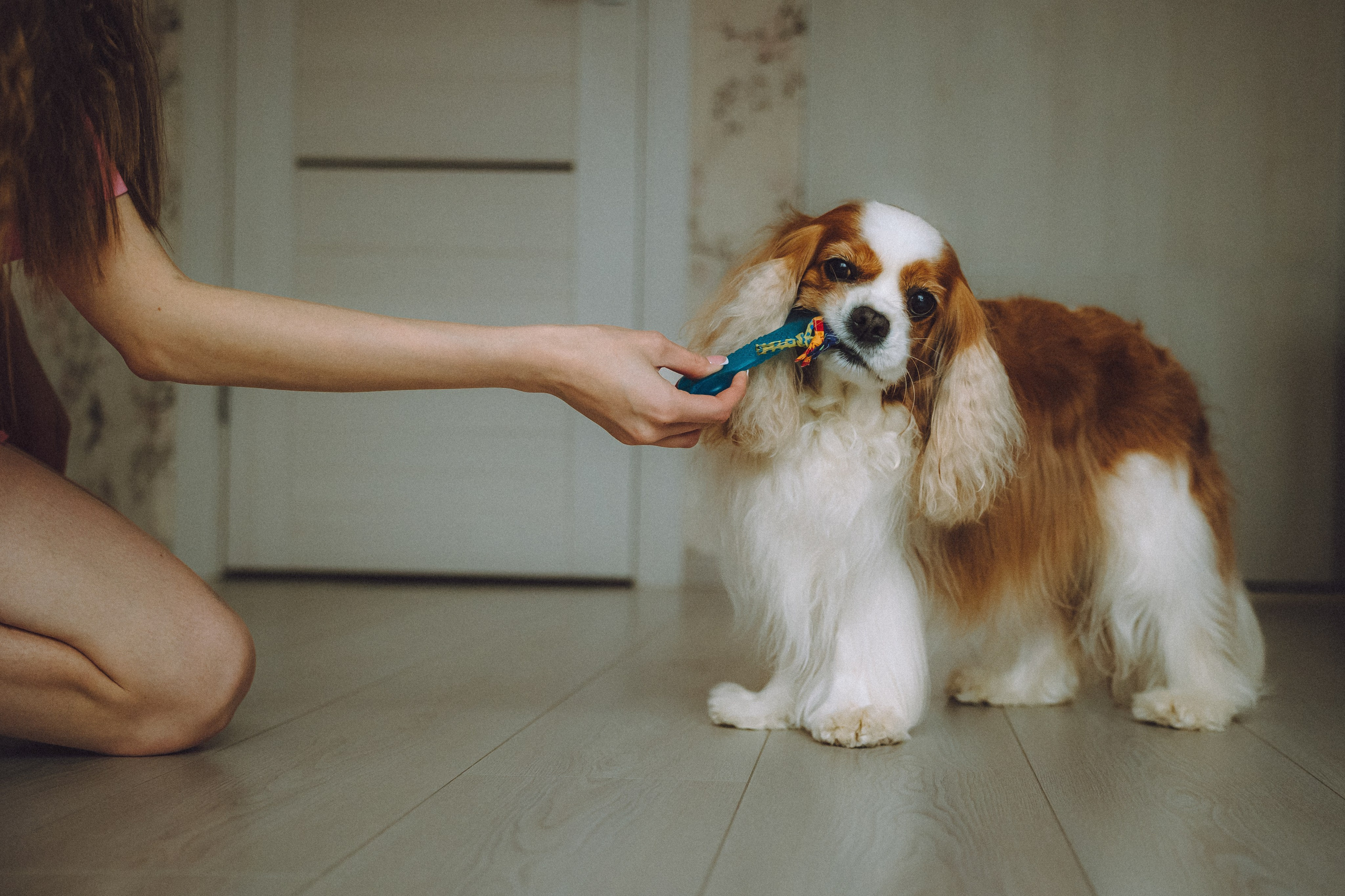 Наташа и Вики