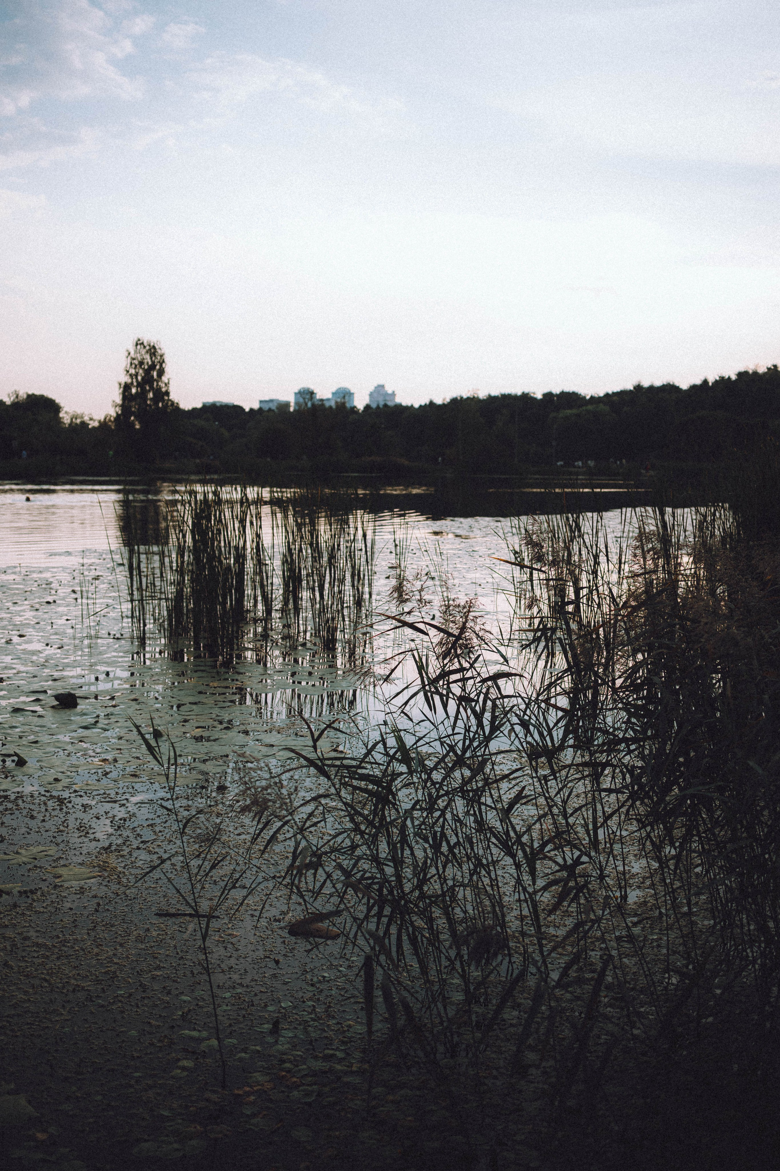 Арчи и его семья