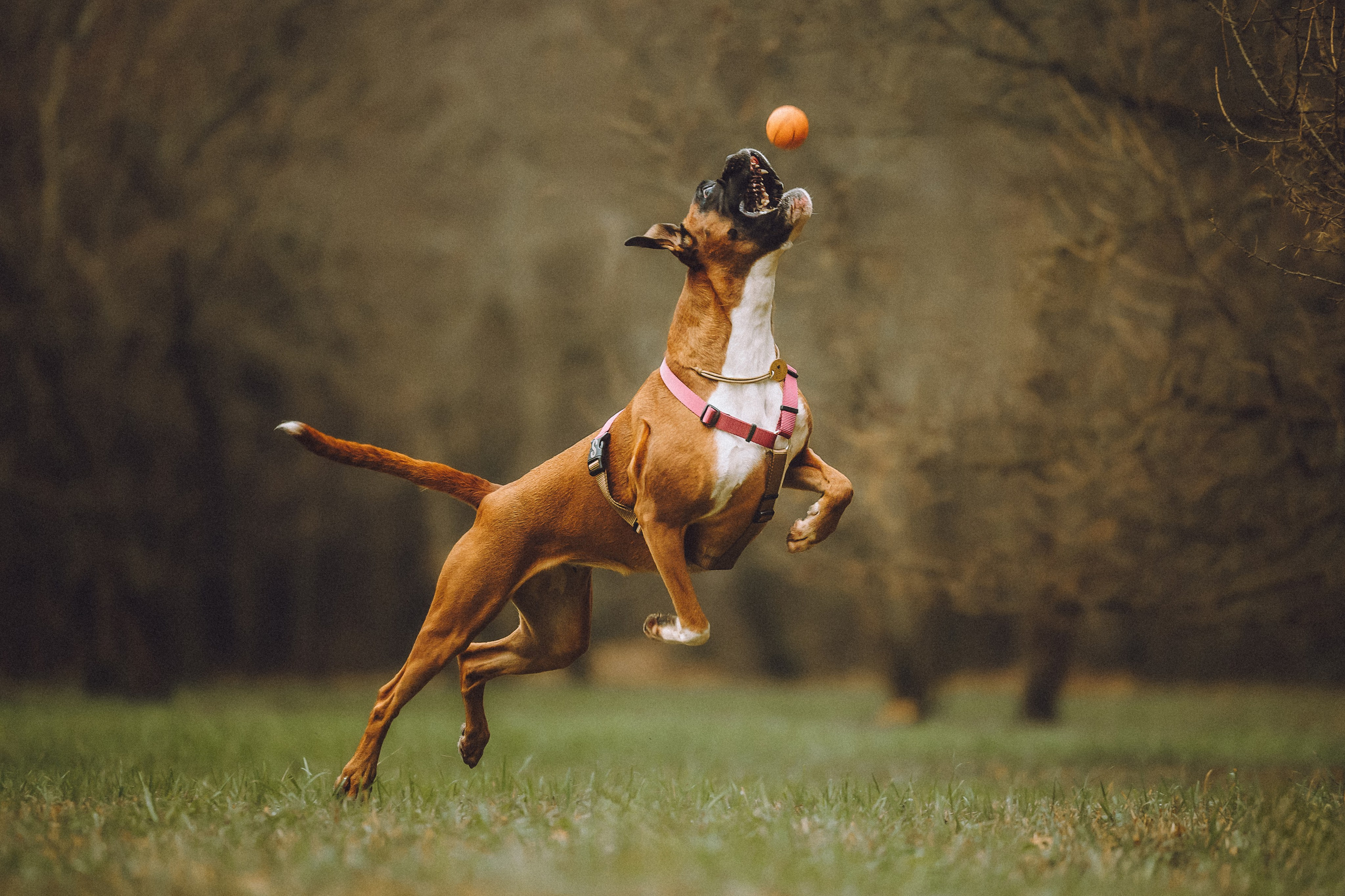 Элли и ее семья