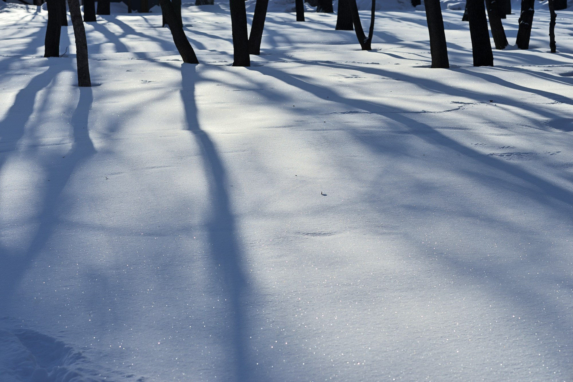 Фотограф Константин Ясинский