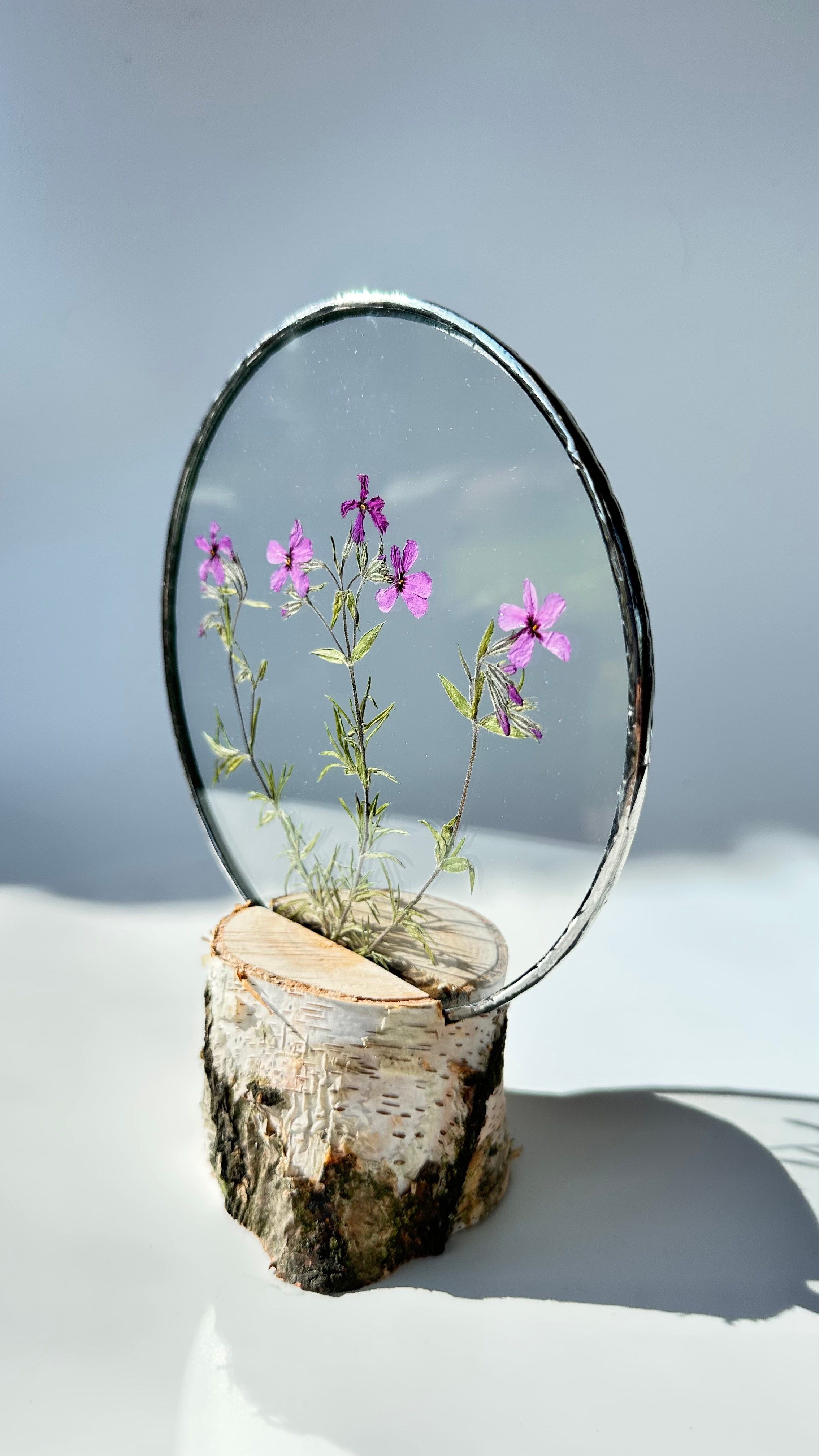 Гербарий в стекле с сухоцветами (витраж в технике тиффани в наличии и на заказ). Гербарий в стекле, интерьерные панно, витражи с сухоцветами в технике тиффани