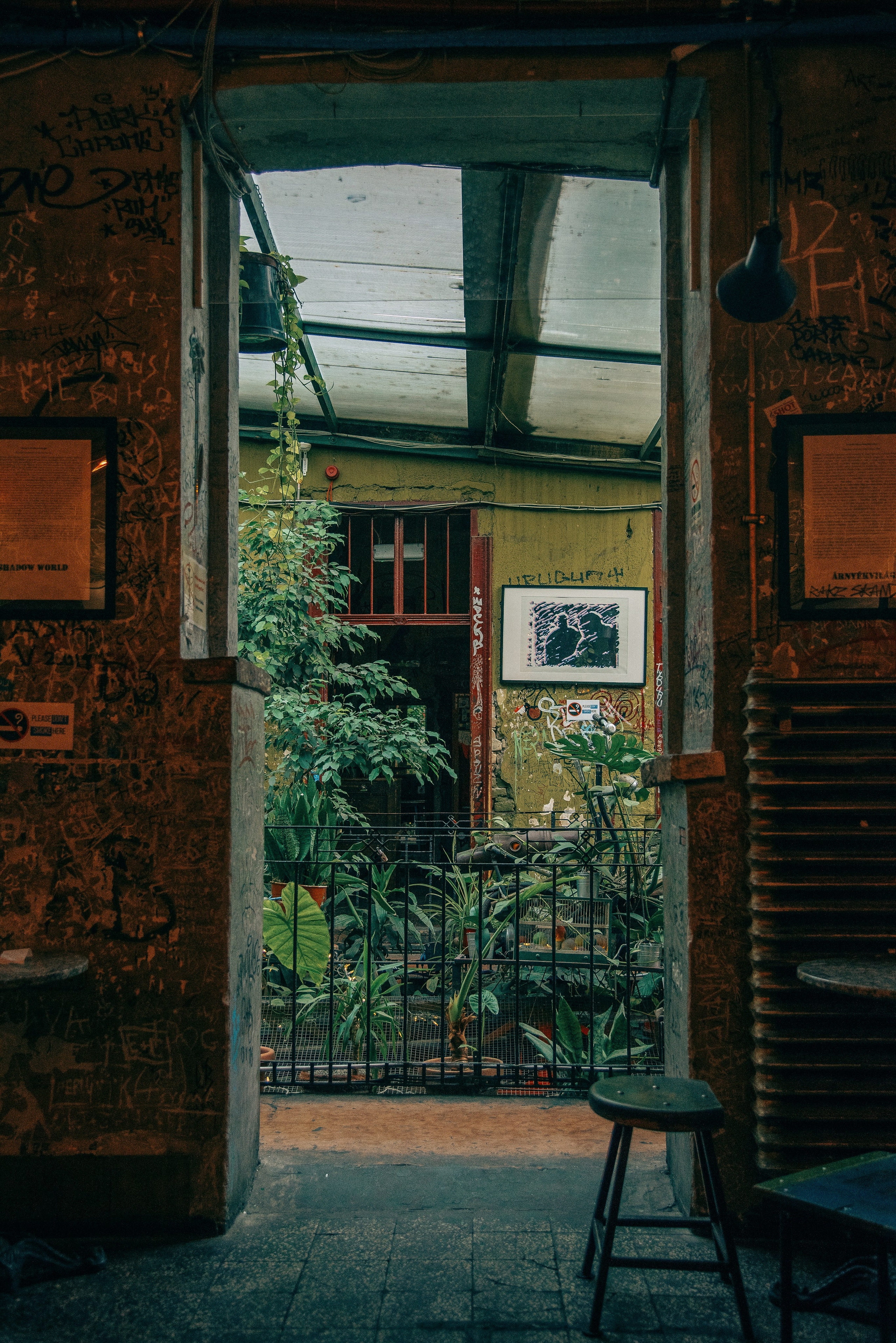 Будапешт, 2019. Фотограф Марк Арсаков