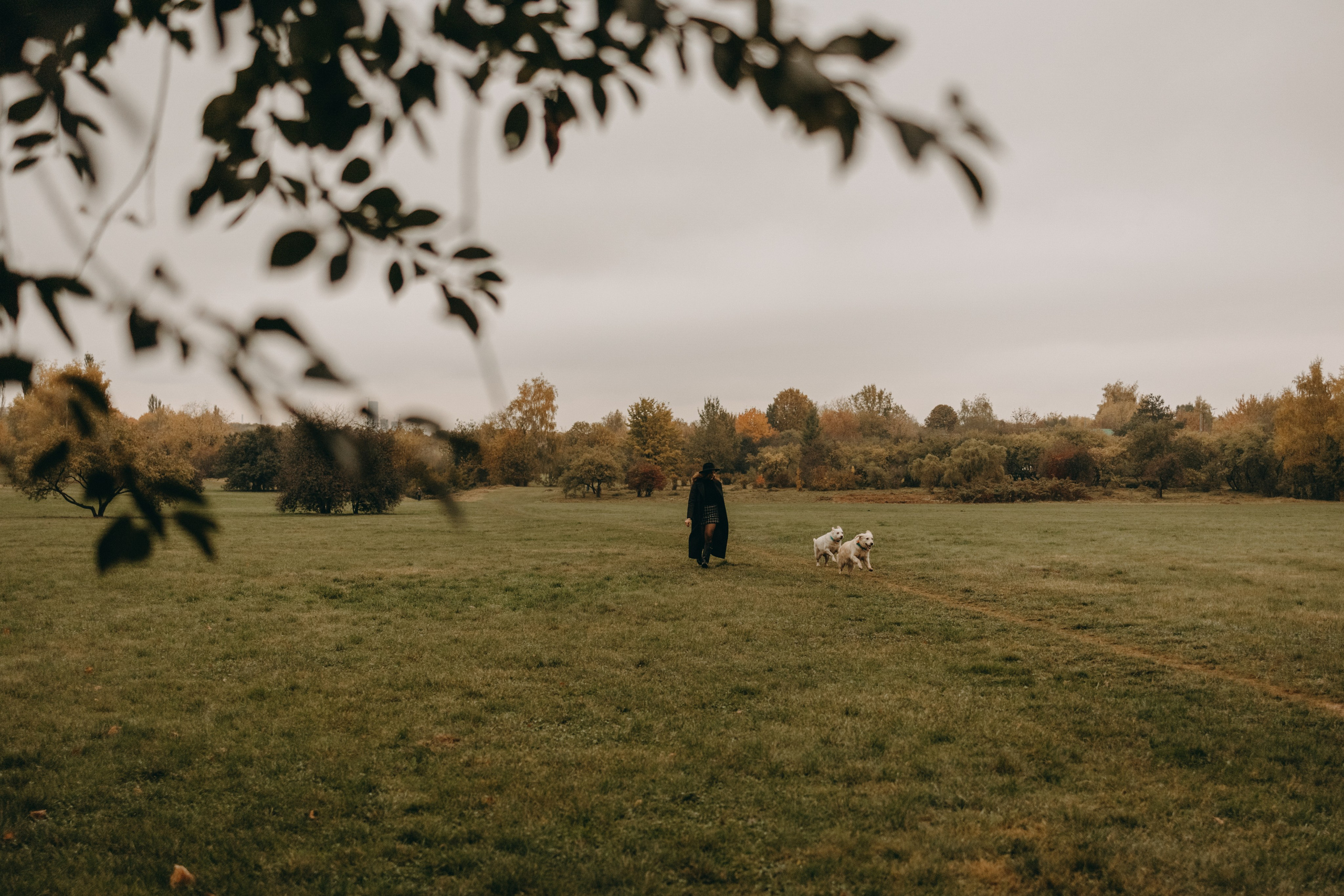 Женя и ее девочки. Фотограф — Анималист | Санкт-Петербург