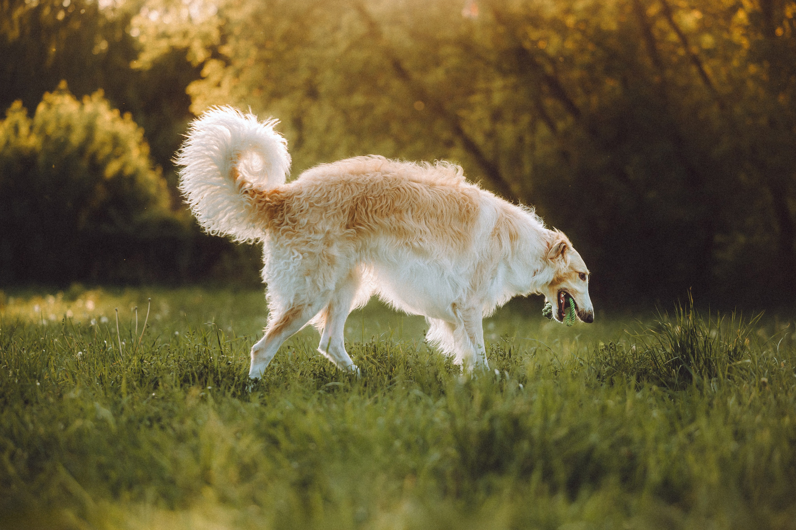 Илай, Зайка и их семья