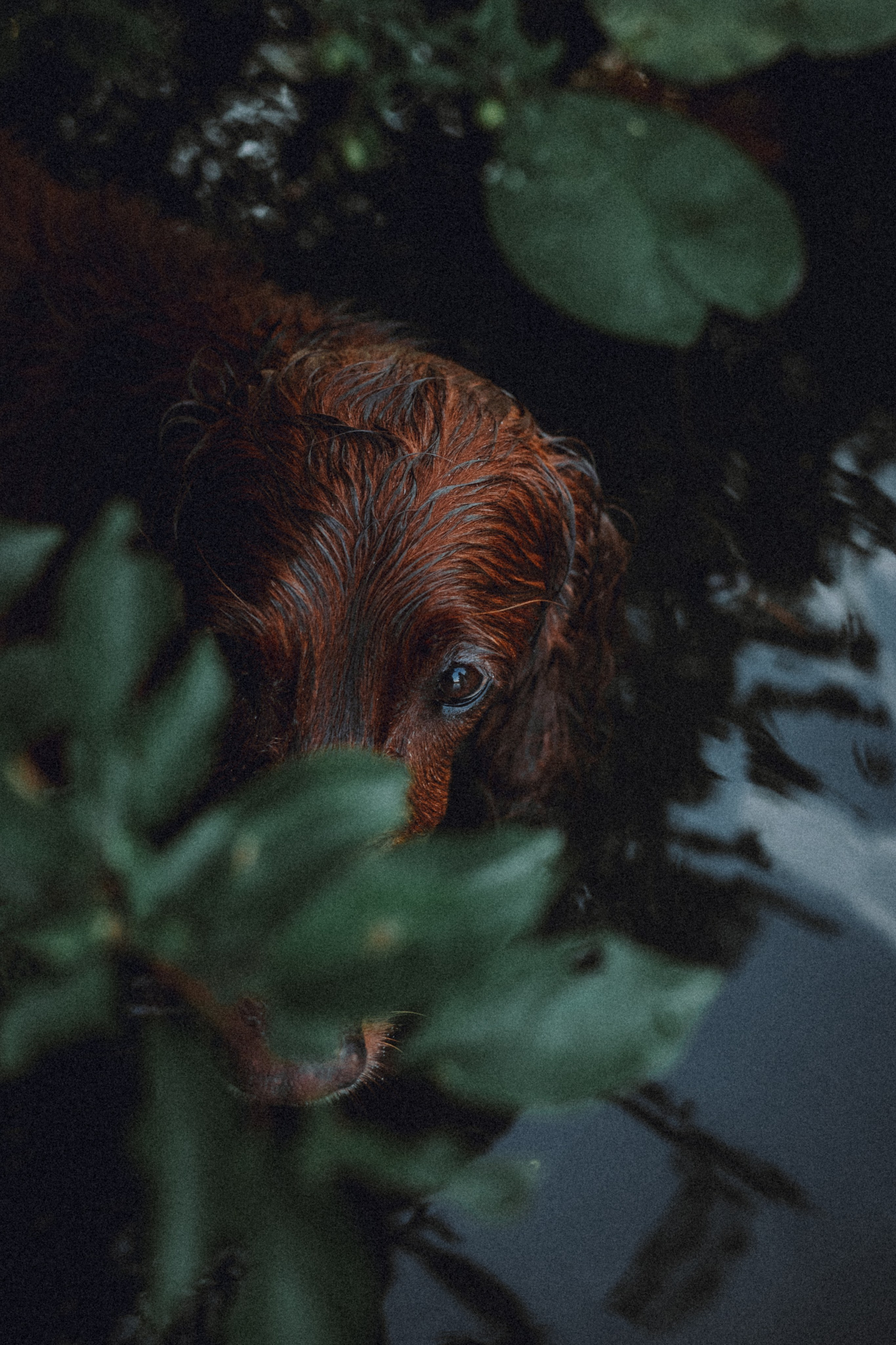 Маша и Джерри