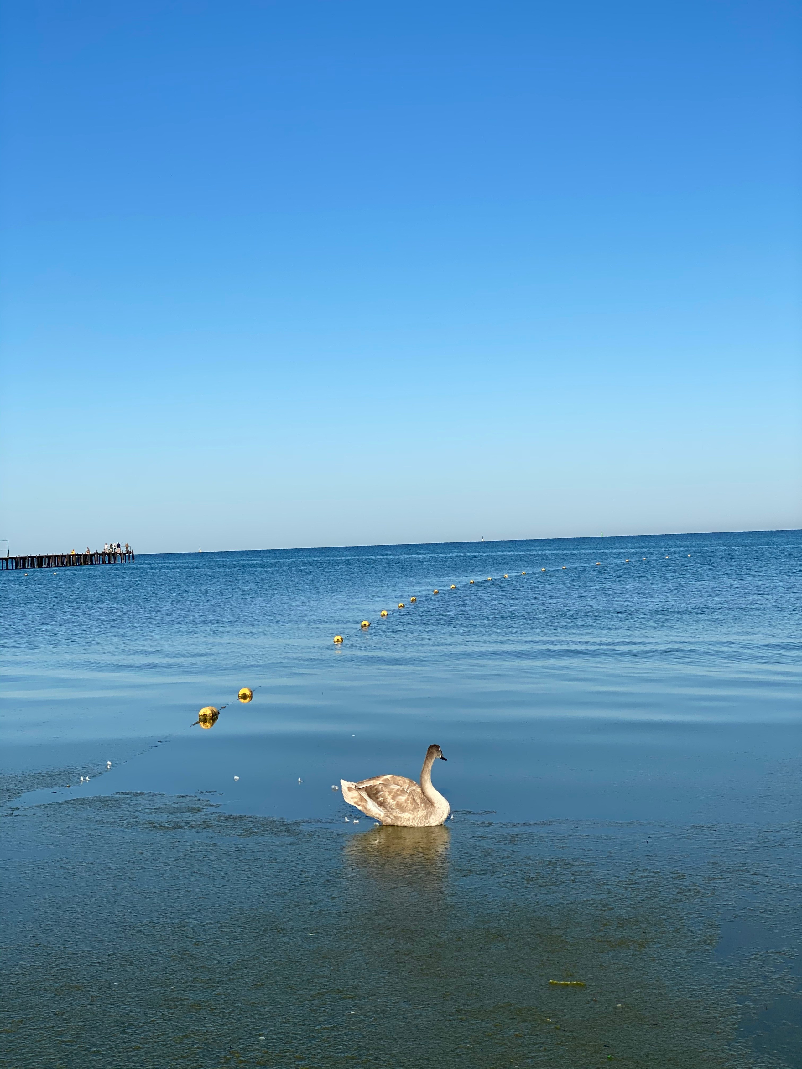 Анапа — 20. Своя Мастерская