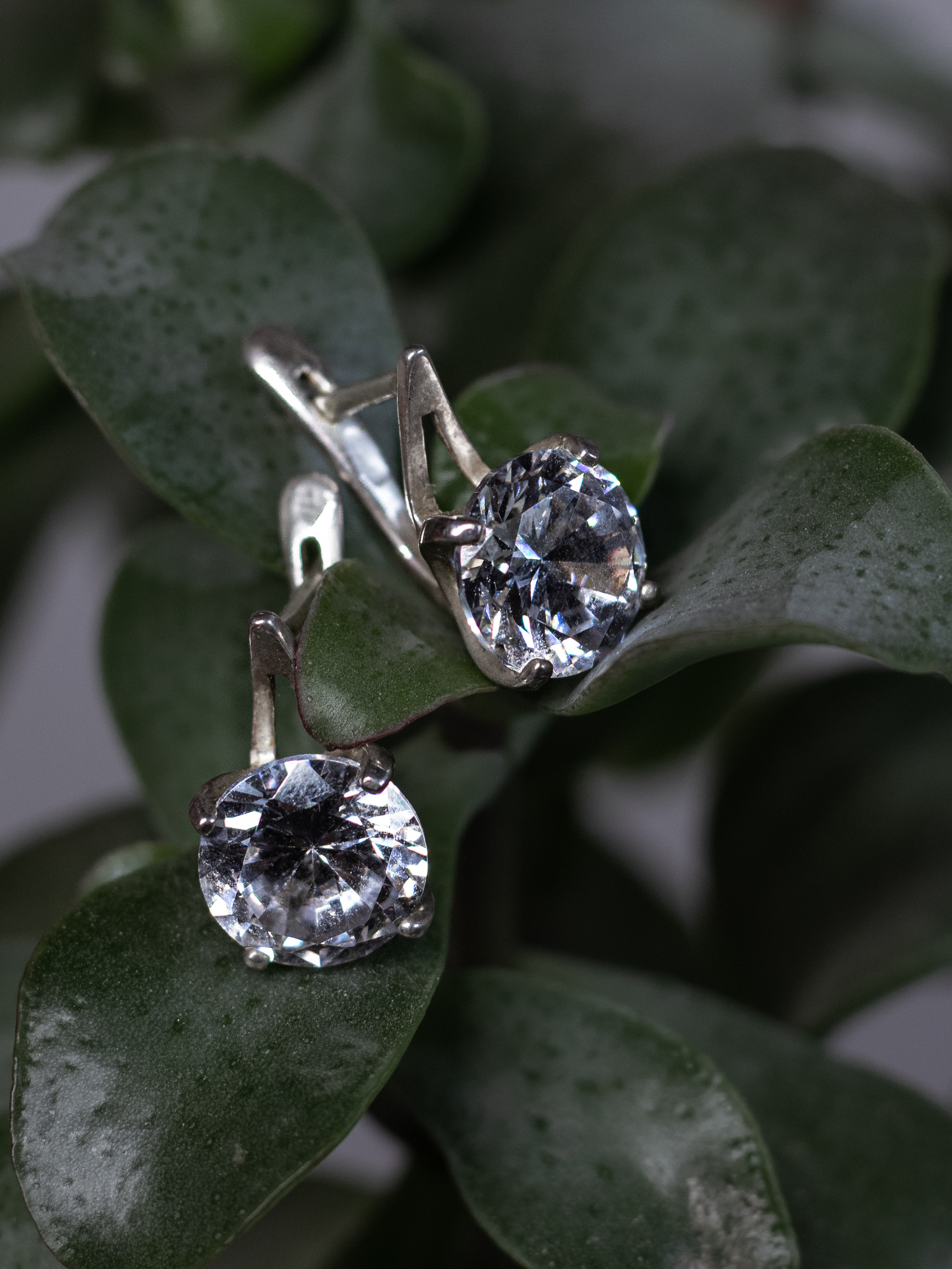 Предметка. Фотограф в Санкт-Петербурге Евгения Махова