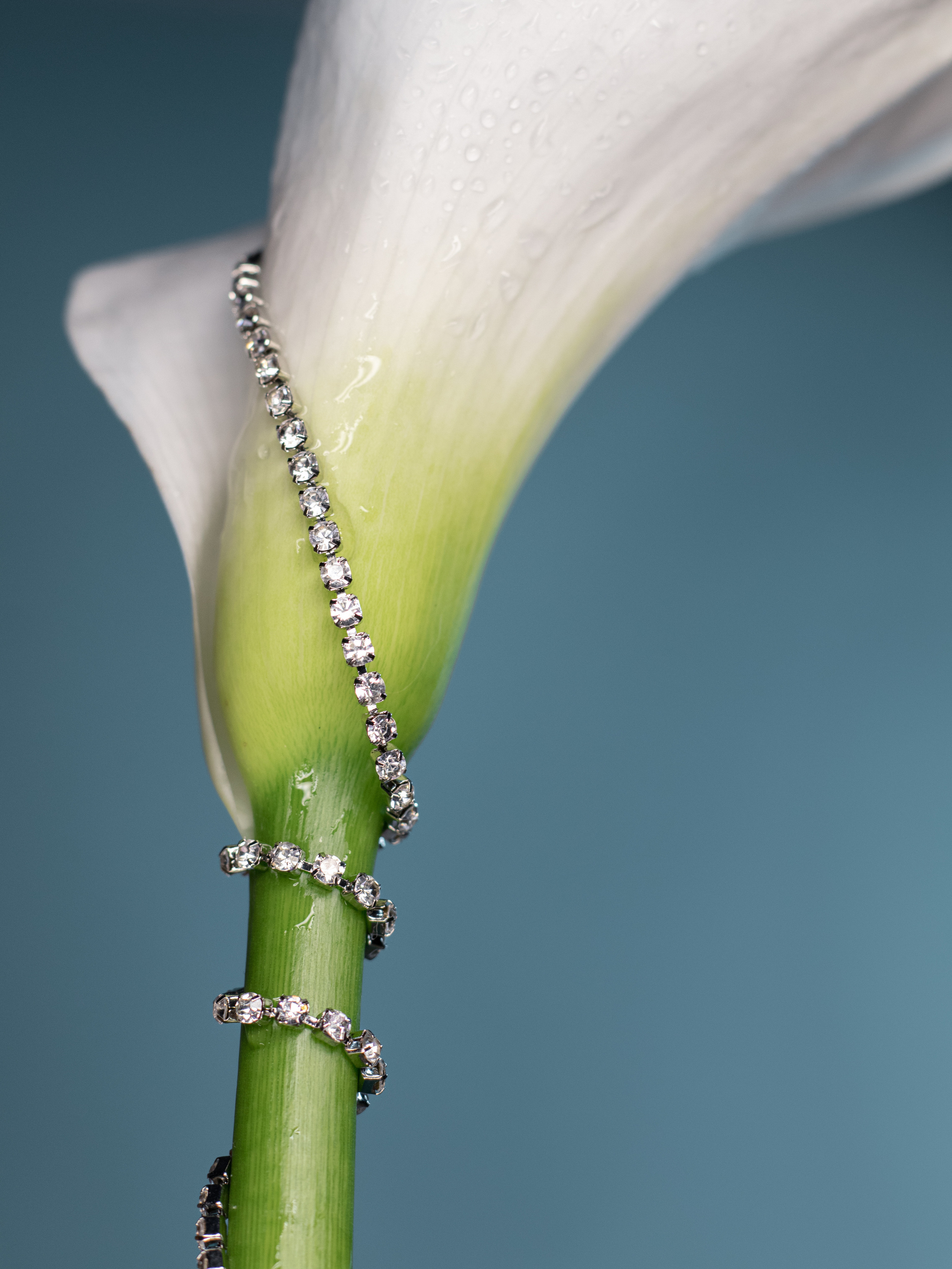 Предметка. Фотограф в Санкт-Петербурге Евгения Махова