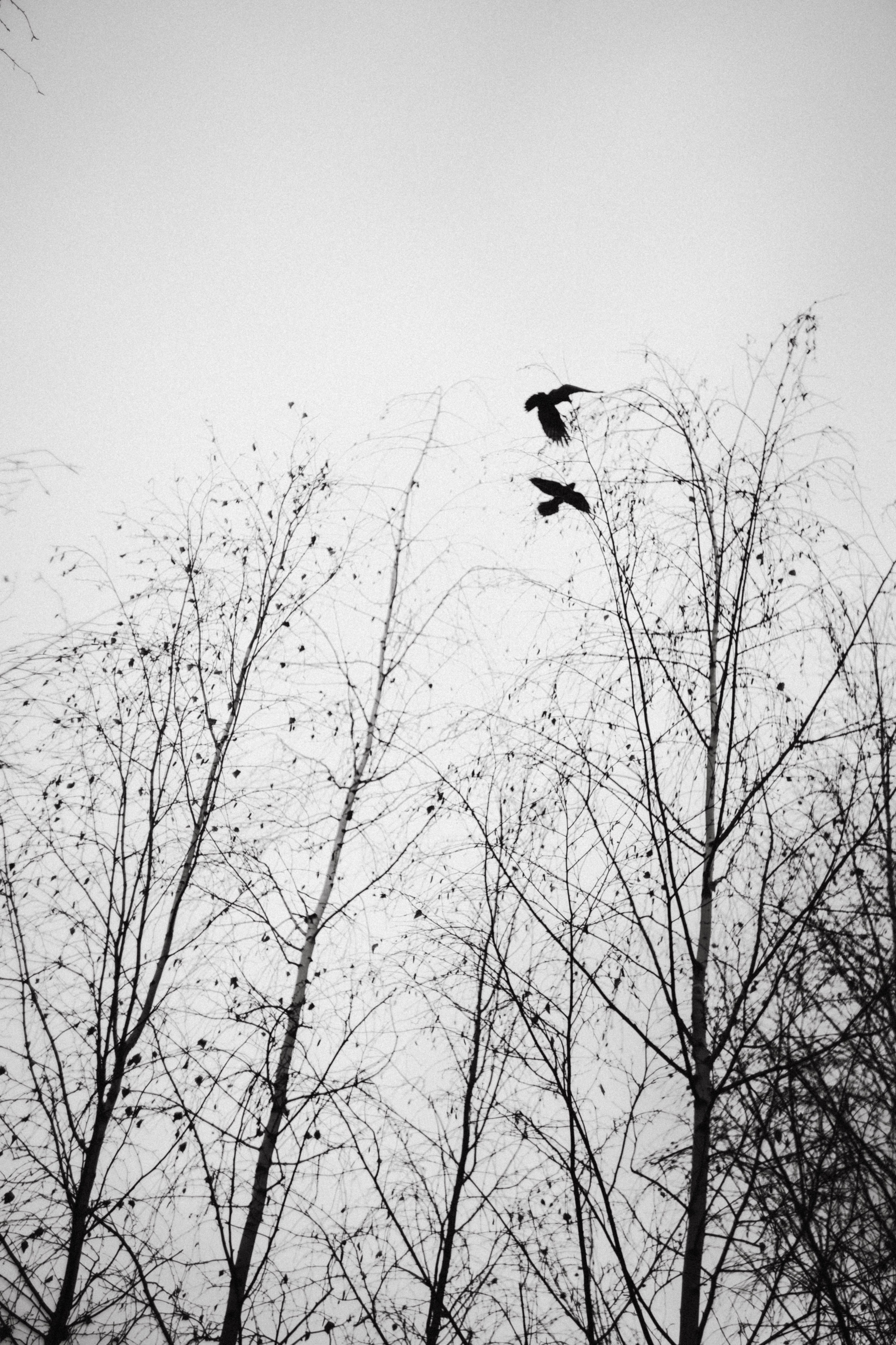 Жанна и Даня. 18-летие. Фотограф в Нижнем Новгороде