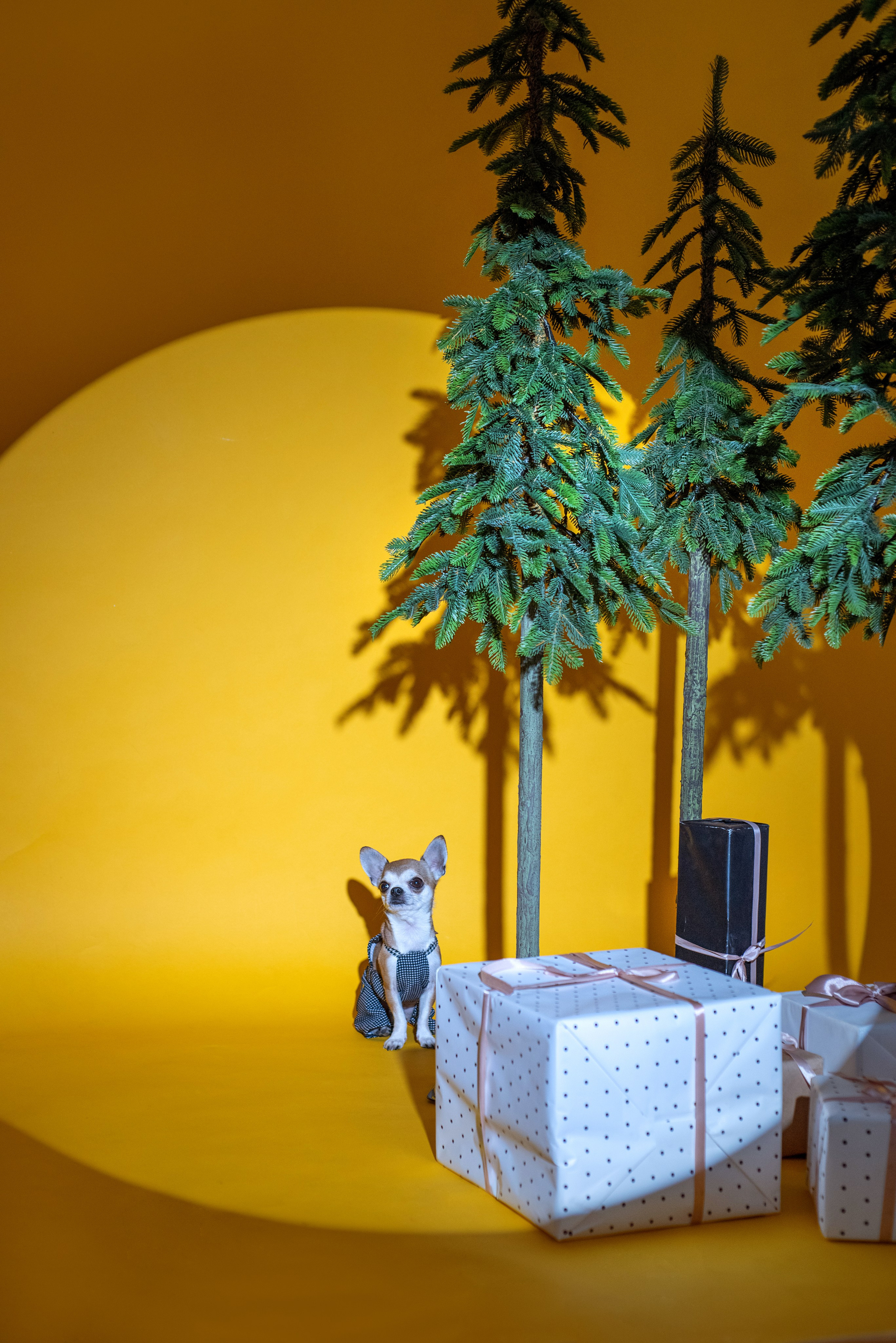 ЕЛЕНА+БРУНО. Ольга Козлова фотограф Волгоград olkiny-fotki.ru