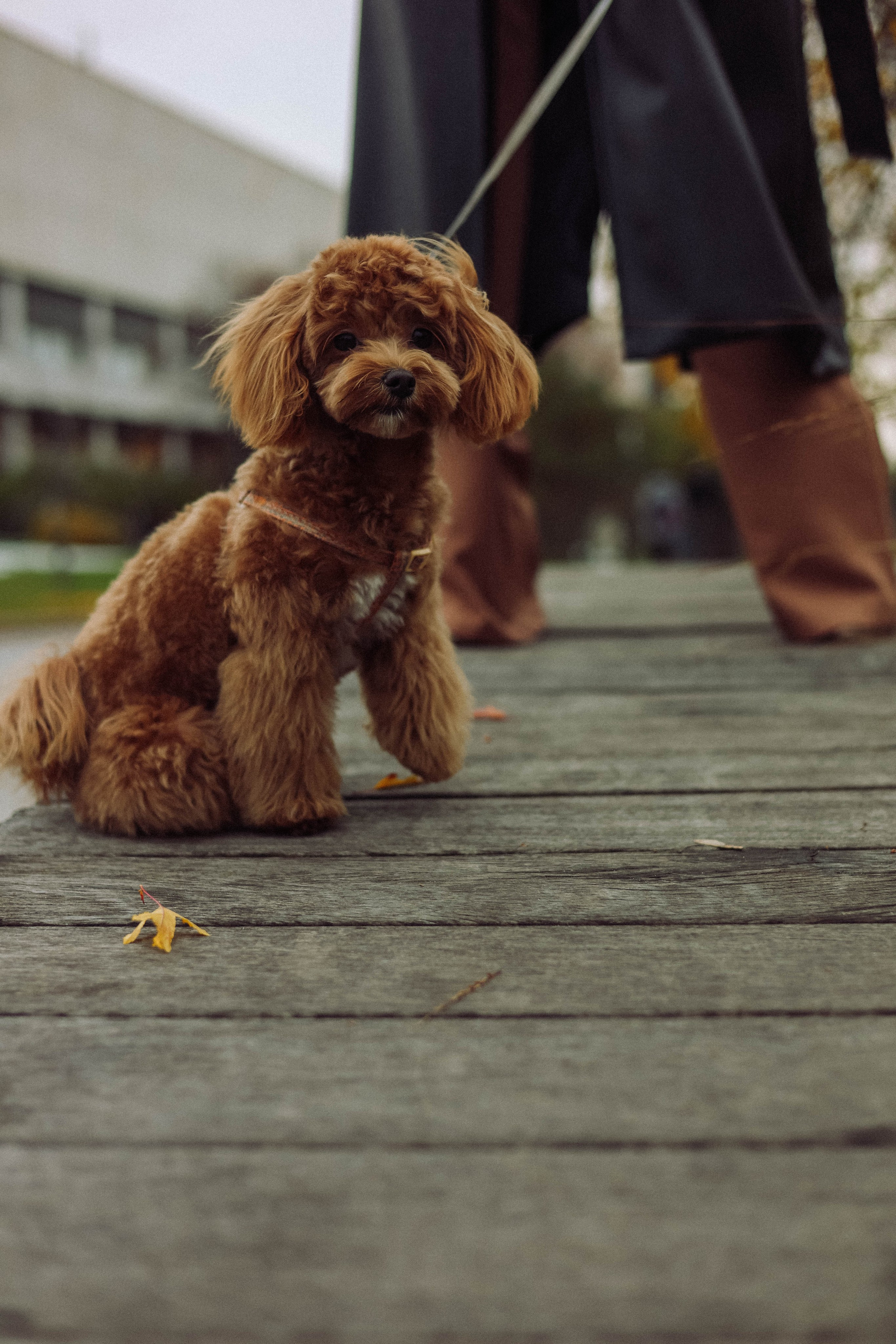 Кира. Фотограф в Москве Анастасия Калинина