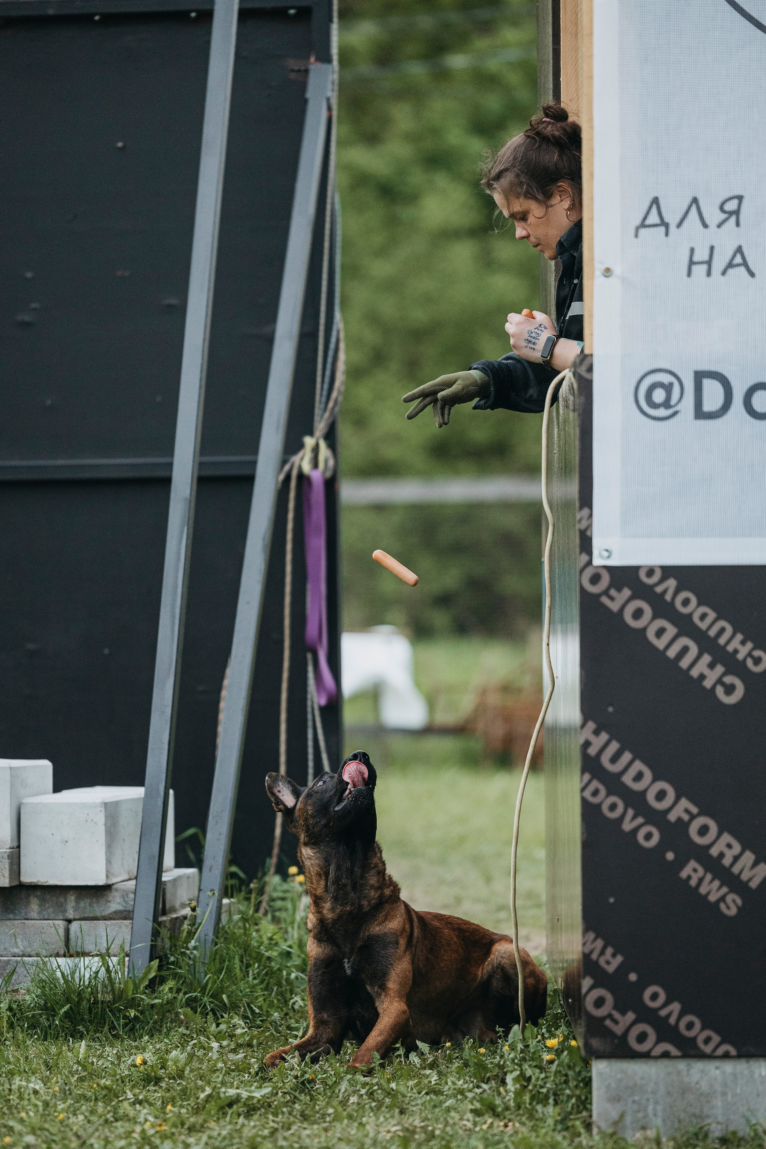26.05.25 г. Пушкин квалификационные соревнования. Фотограф-анималист Анна Маринич