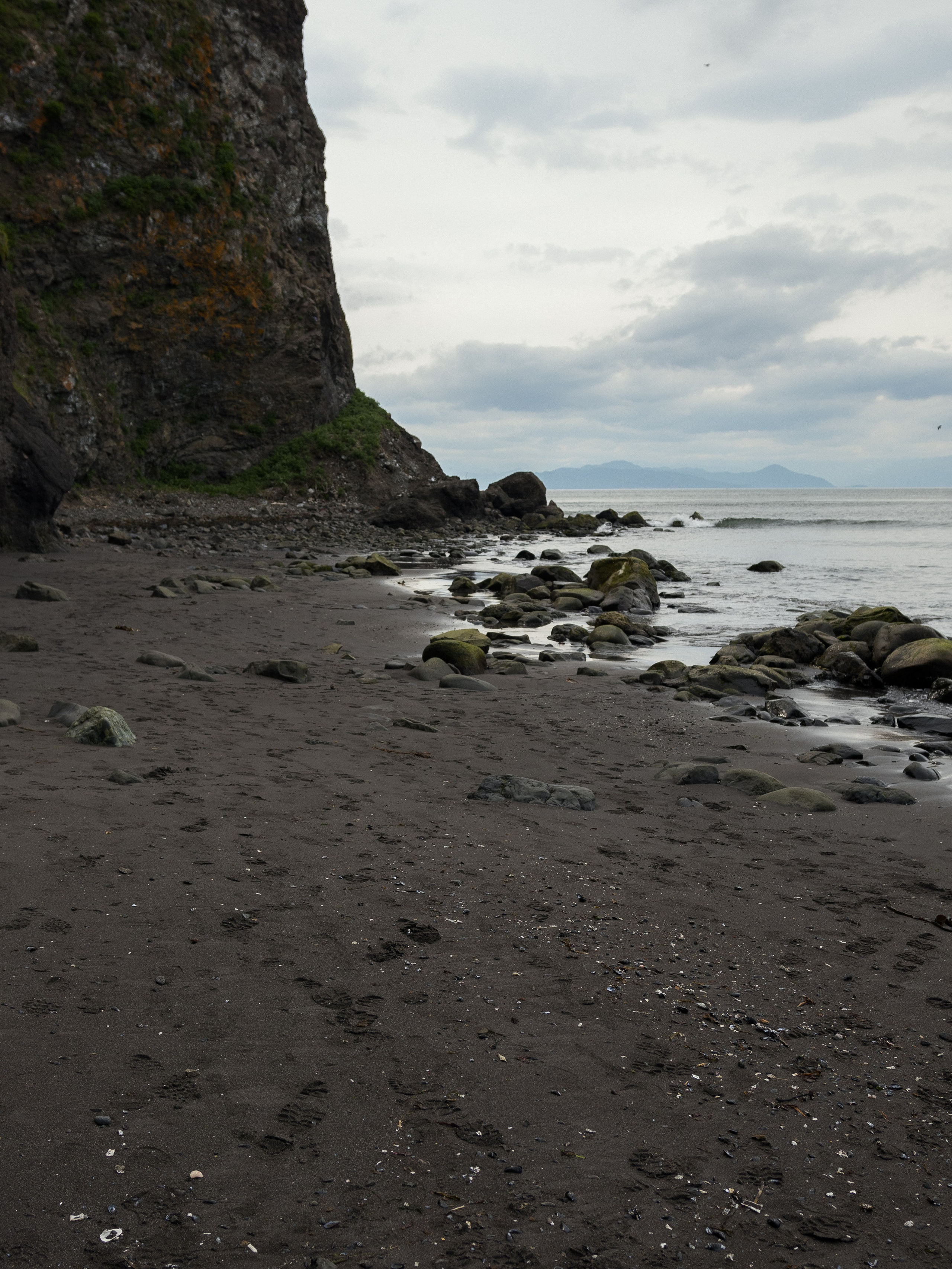 Wild. Фотограф Даниил Камчатка