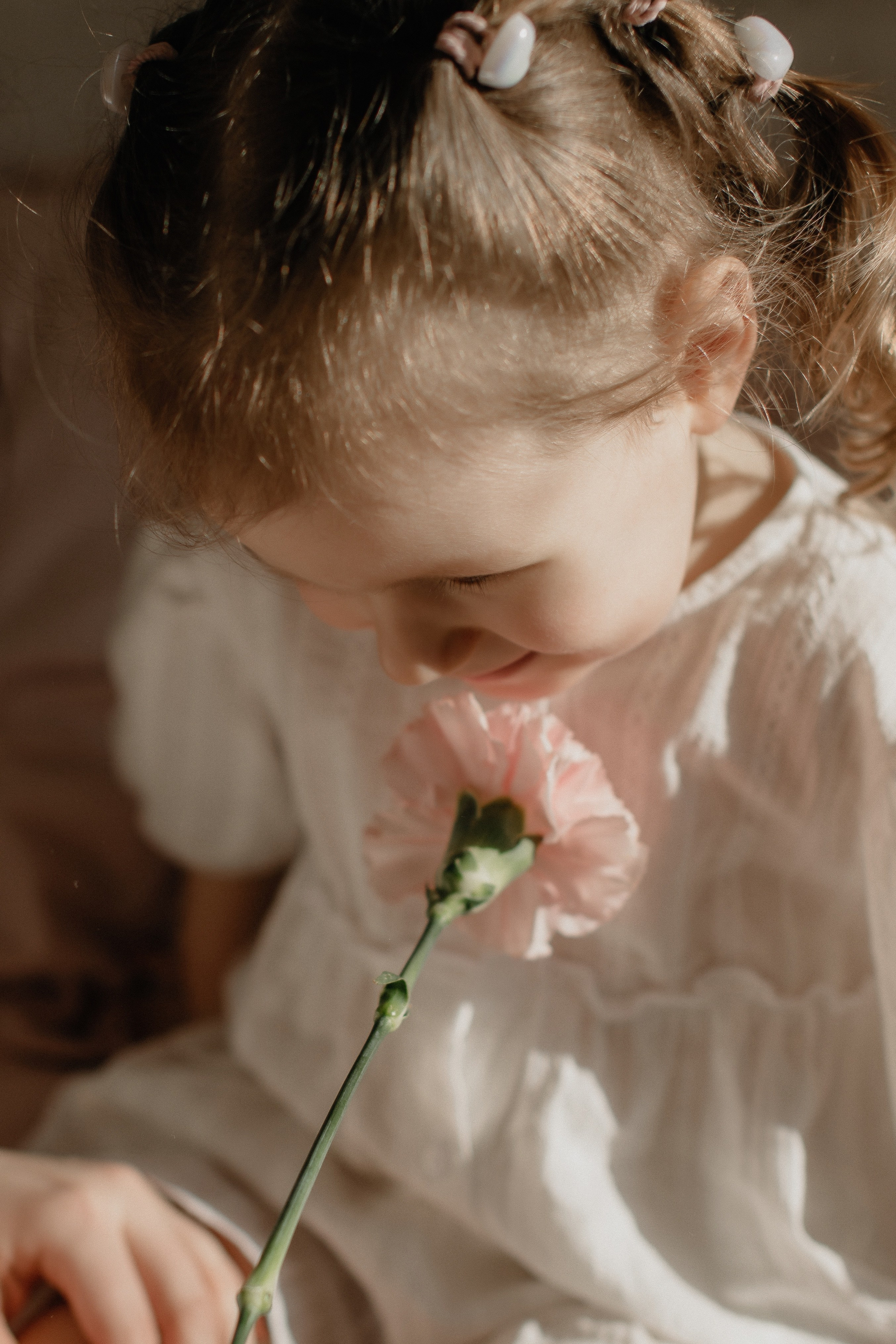 Весенние Аня и Ариша. Главная