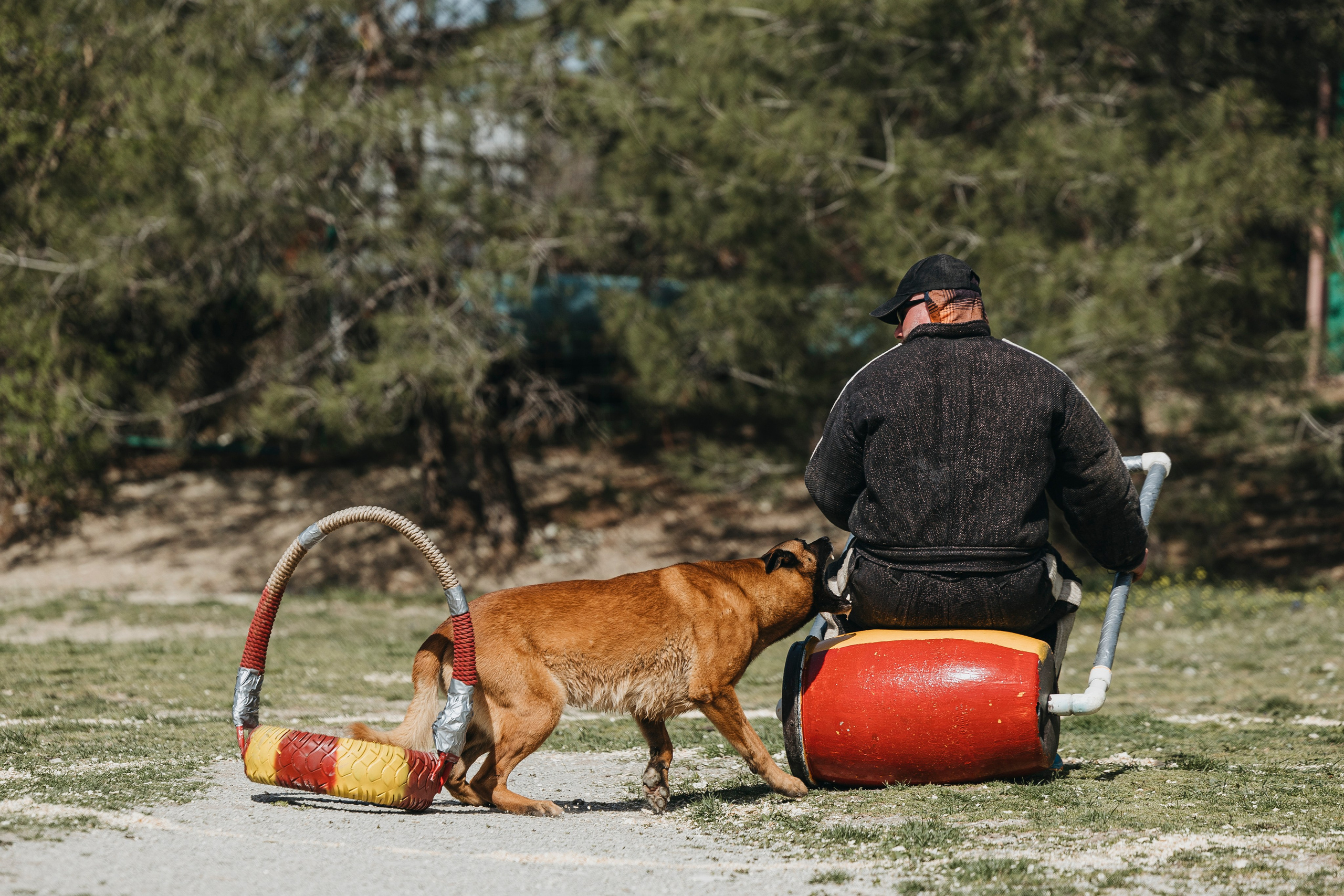 Геленджик Мондьоринг. Фотограф-анималист Анна Маринич