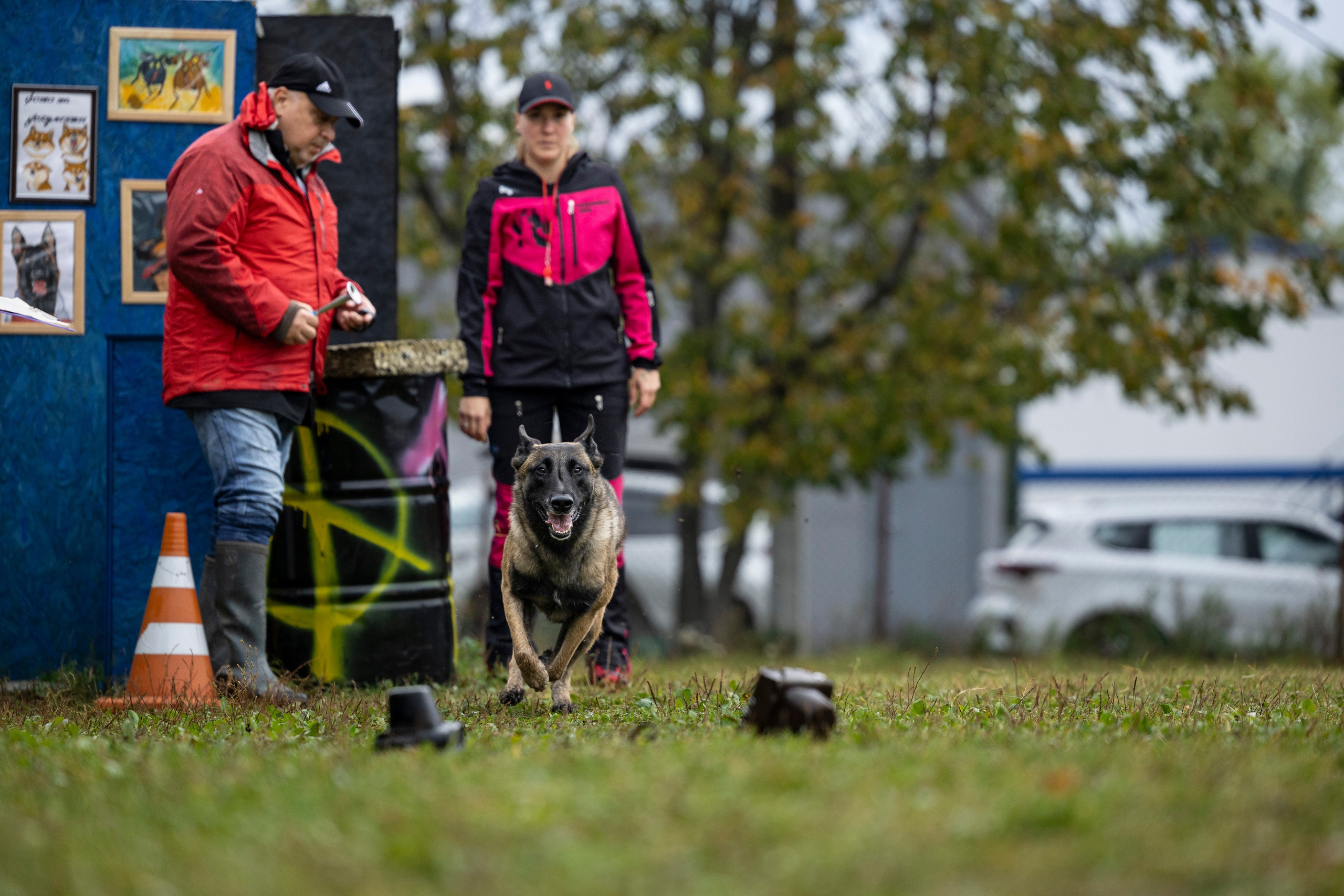 Испытания по Мондьорингу г. Пушкин. Фотограф-анималист Анна Маринич