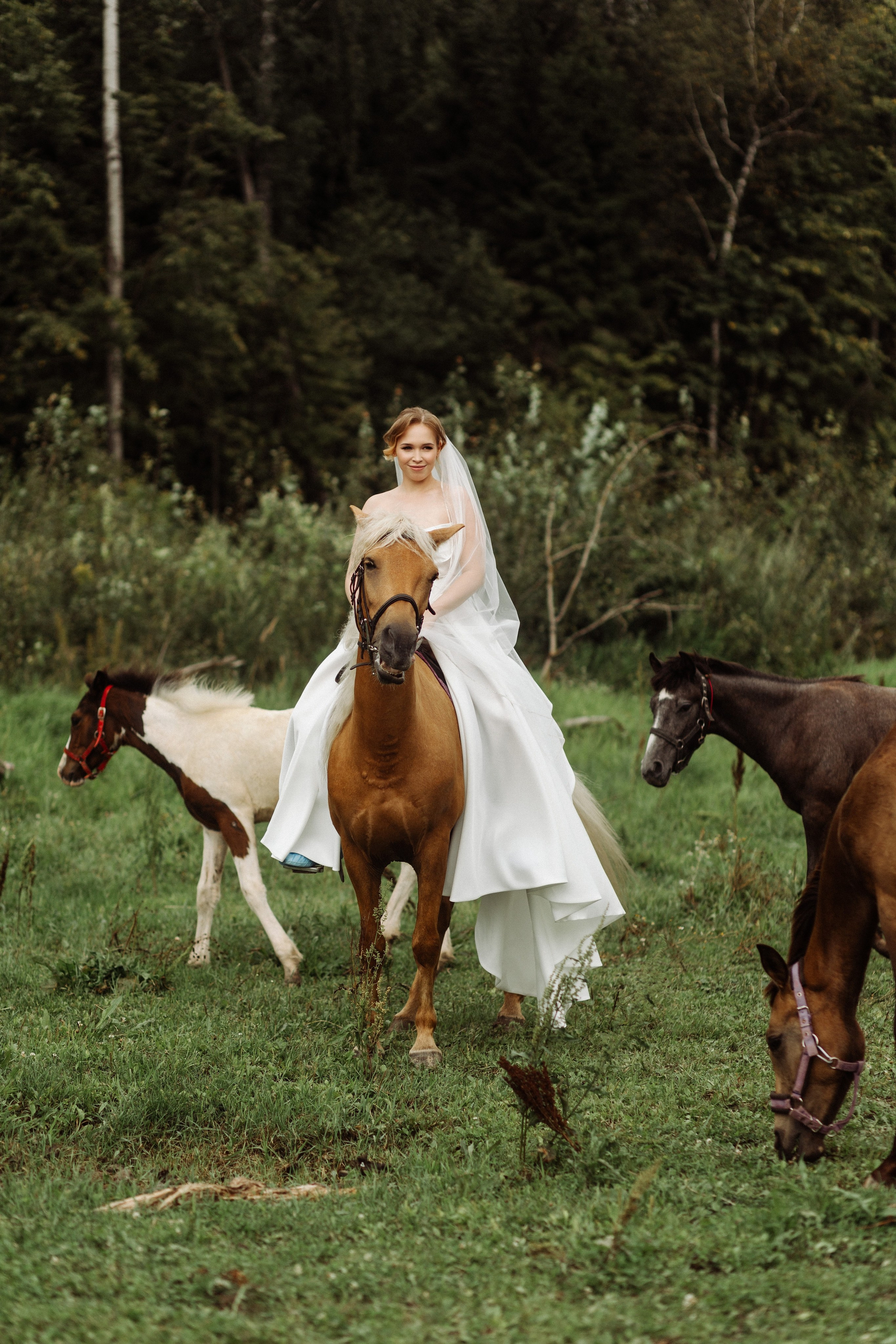 Максим и Анастасия. Свадебный фотограф Маргарита Глумскова
