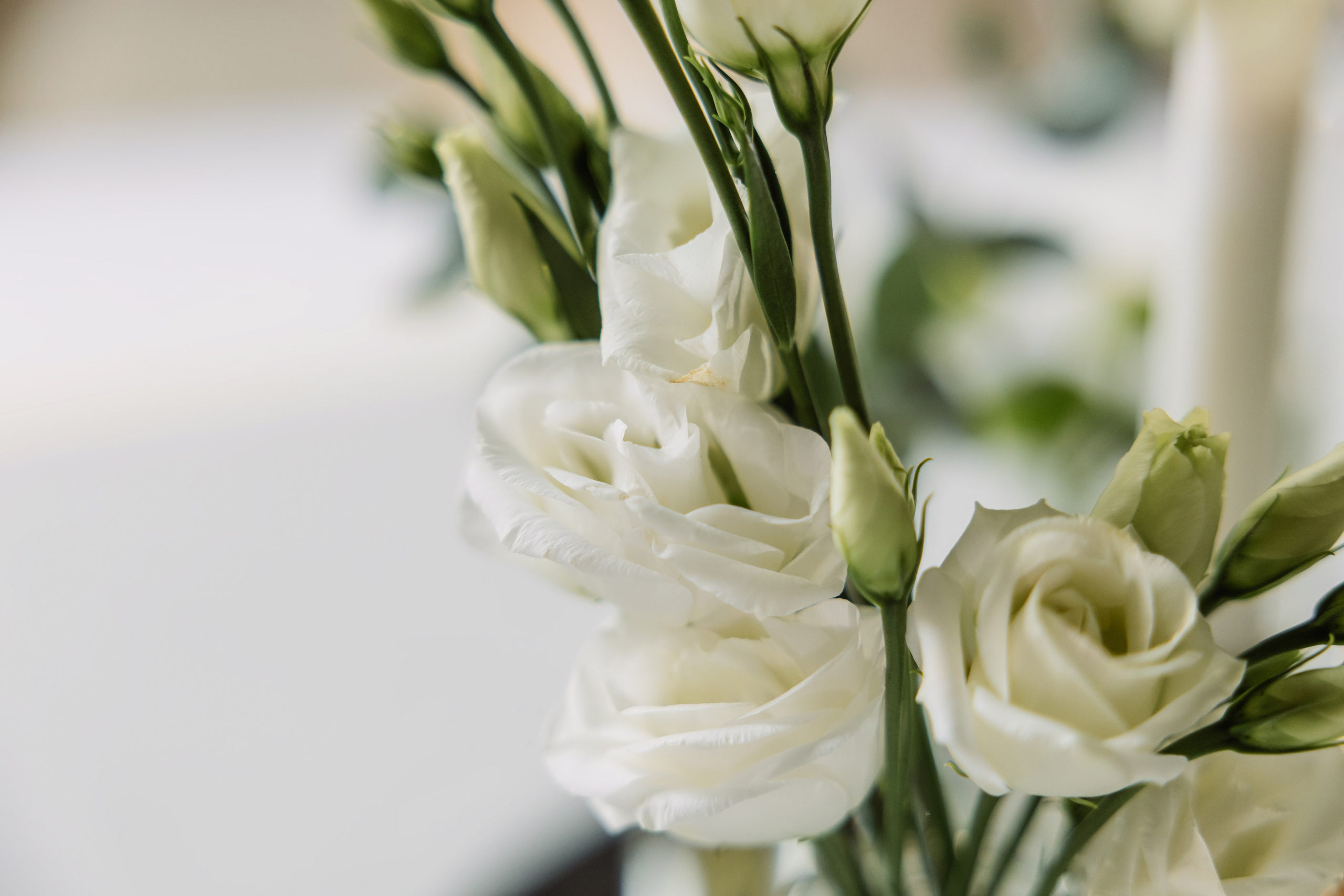 Владимир и Анастасия | Любовь, ставшая искусством 🫶. ФОТОГРАФ ИРИНА ШАМАТАВА