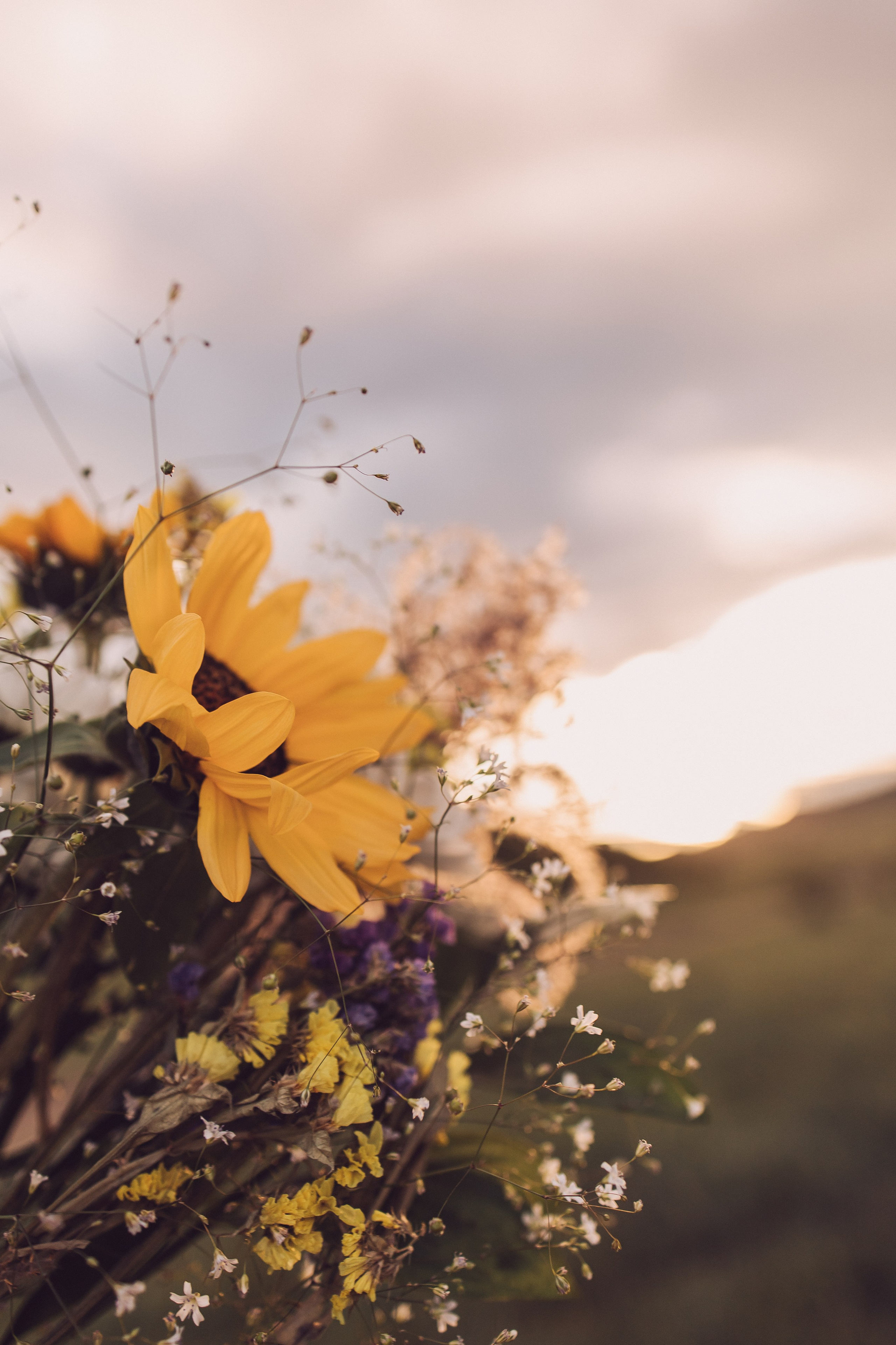 Светилька / Тбилиси. Фотограф Наталья Гончарова. Снимаю живые портреты в Алматы