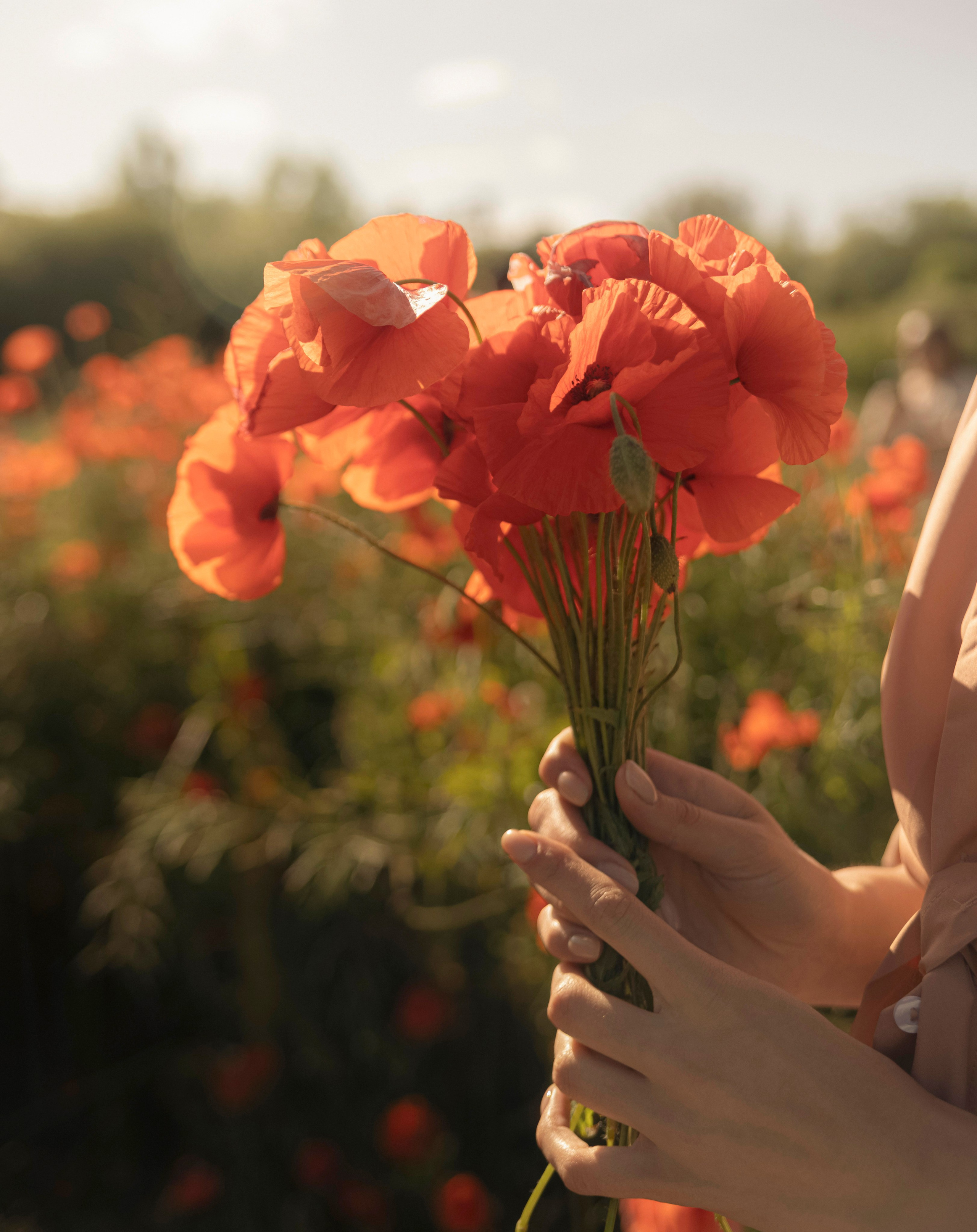 В Маках. Портретный фотограф в Калининграде Алеся Раух