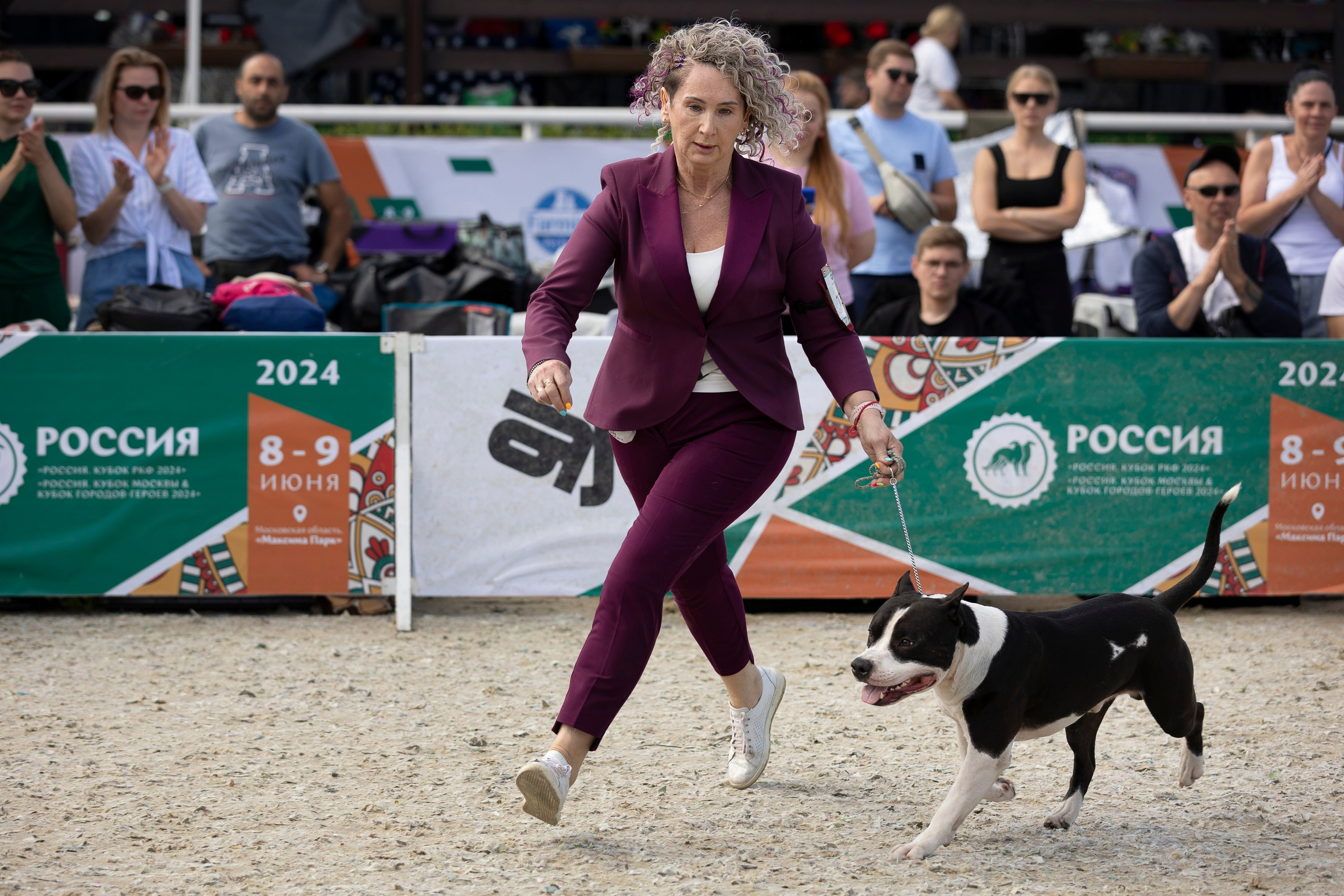 Россия 2024. Фотограф анималист, семейный фотограф, фотограф собак Комратова Мария. г. Москва