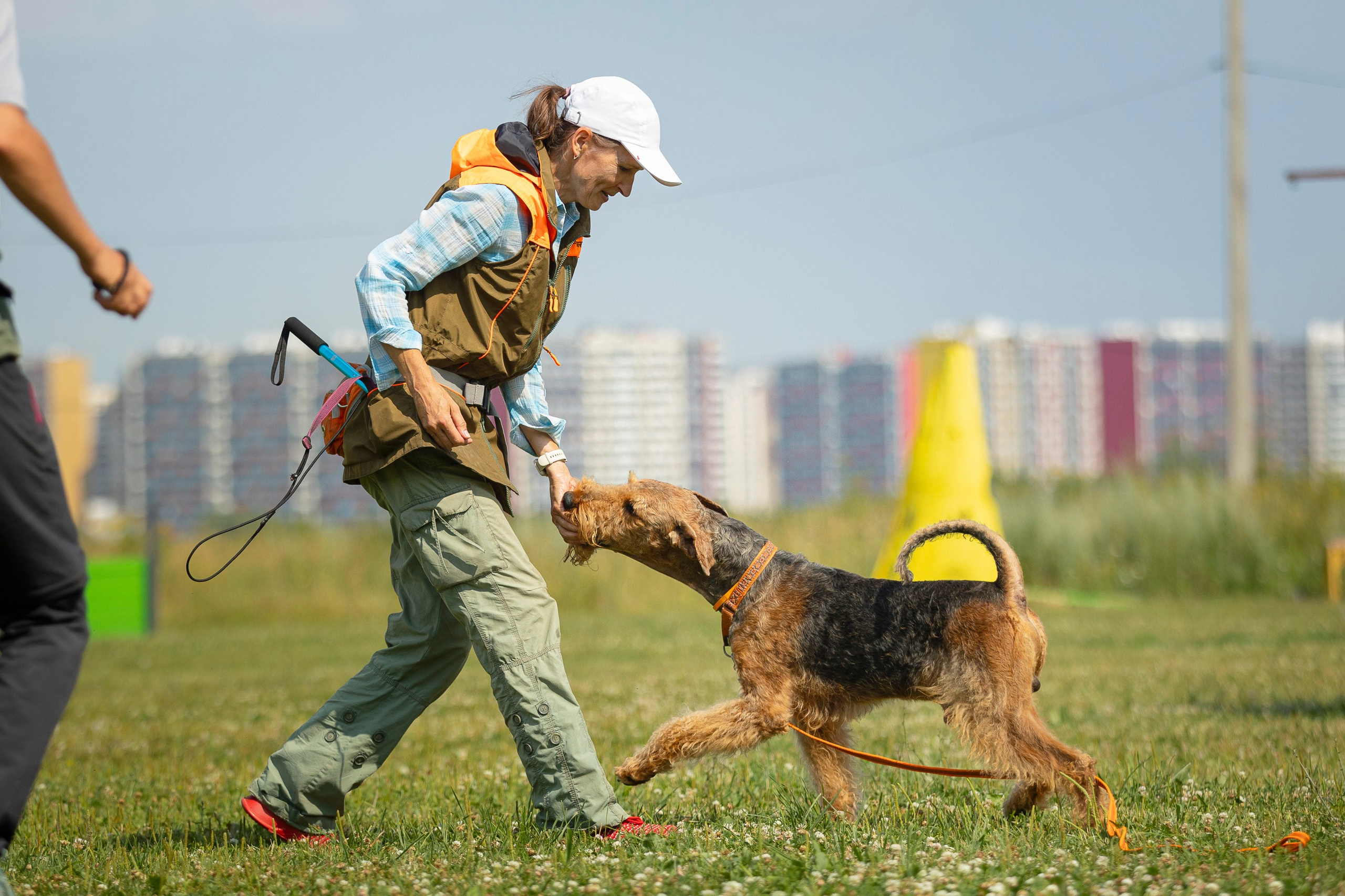 ЗКС. Фотограф анималист, семейный фотограф, фотограф собак Комратова Мария. г. Москва