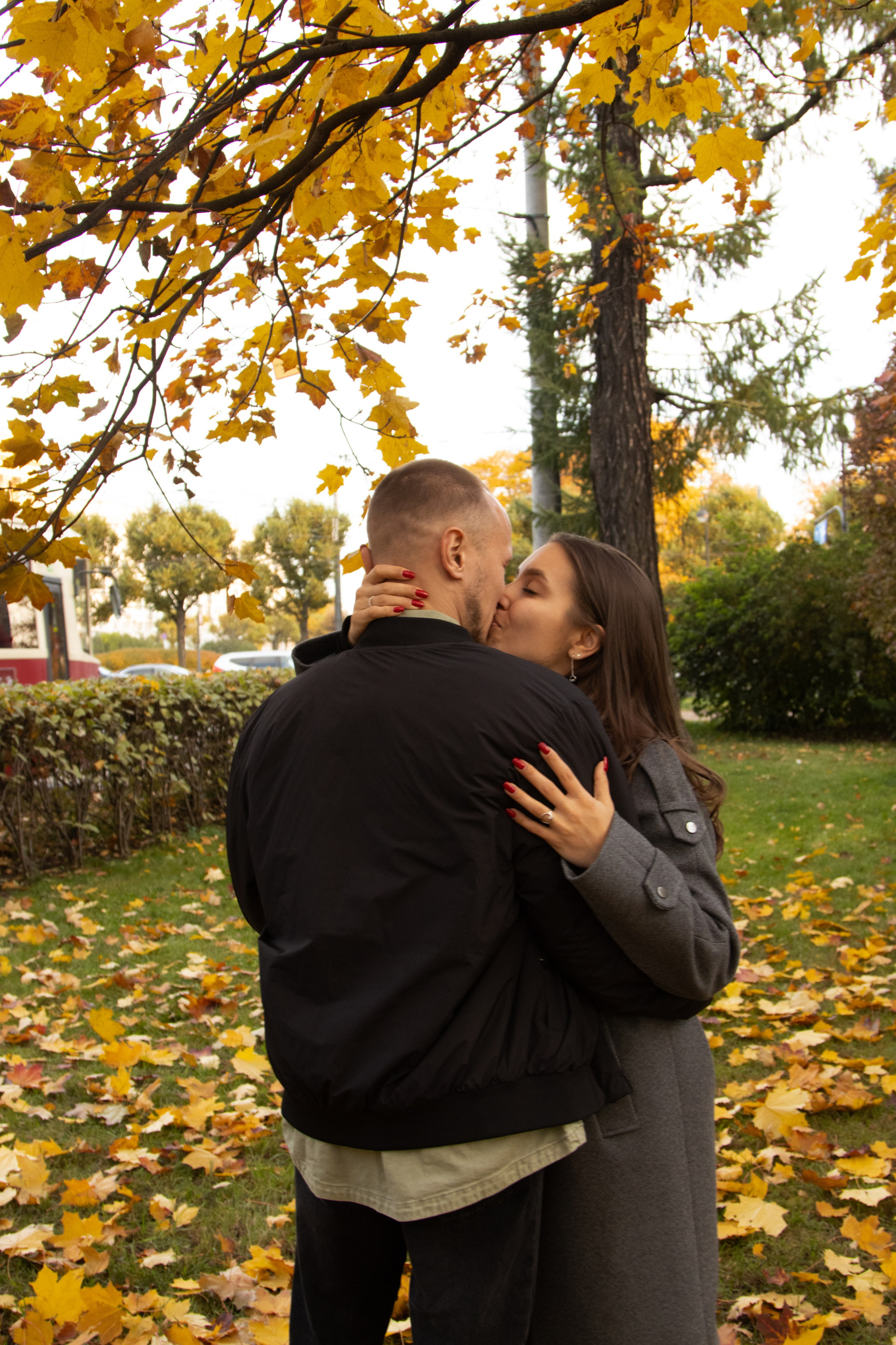 Предложение руки и сердца