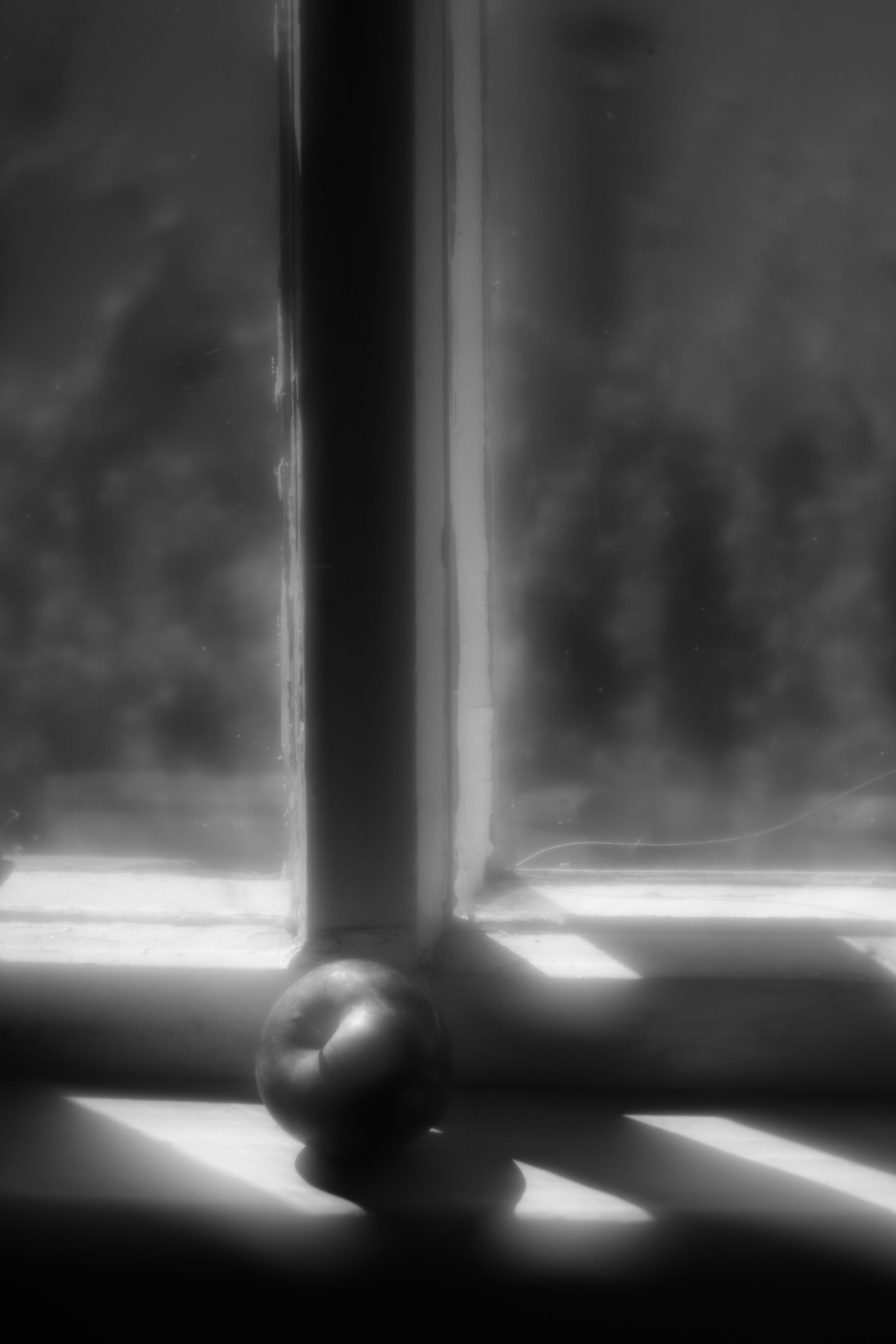 Поэзия повседневности. Семейный фотограф в Москве Марина Аргунова