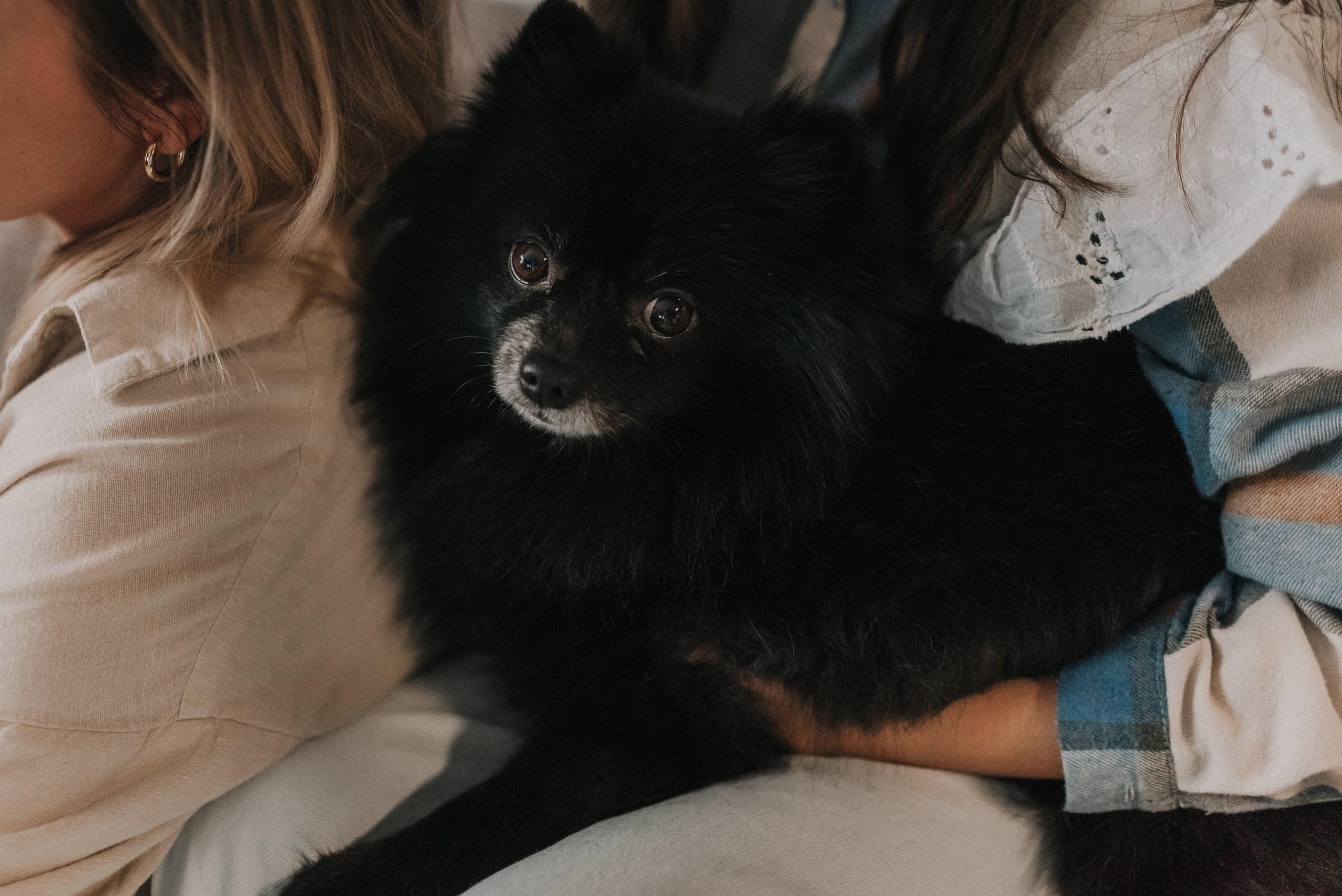 Настя, Рома, Катя и Лев. Семейный и детский фотограф Анастасия Иванова