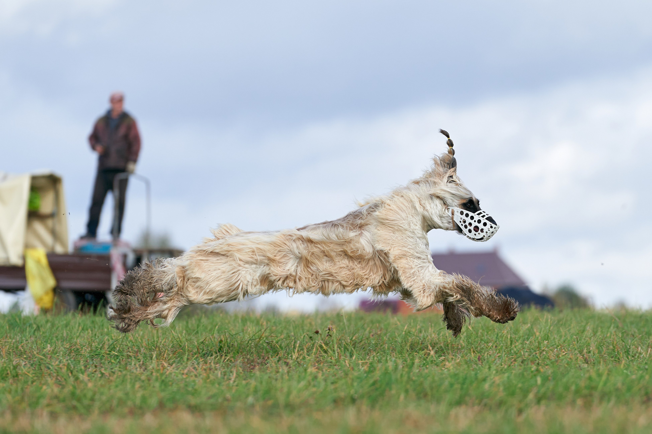 Репортажная съемка. Фотограф-анималист Михаил Манухин