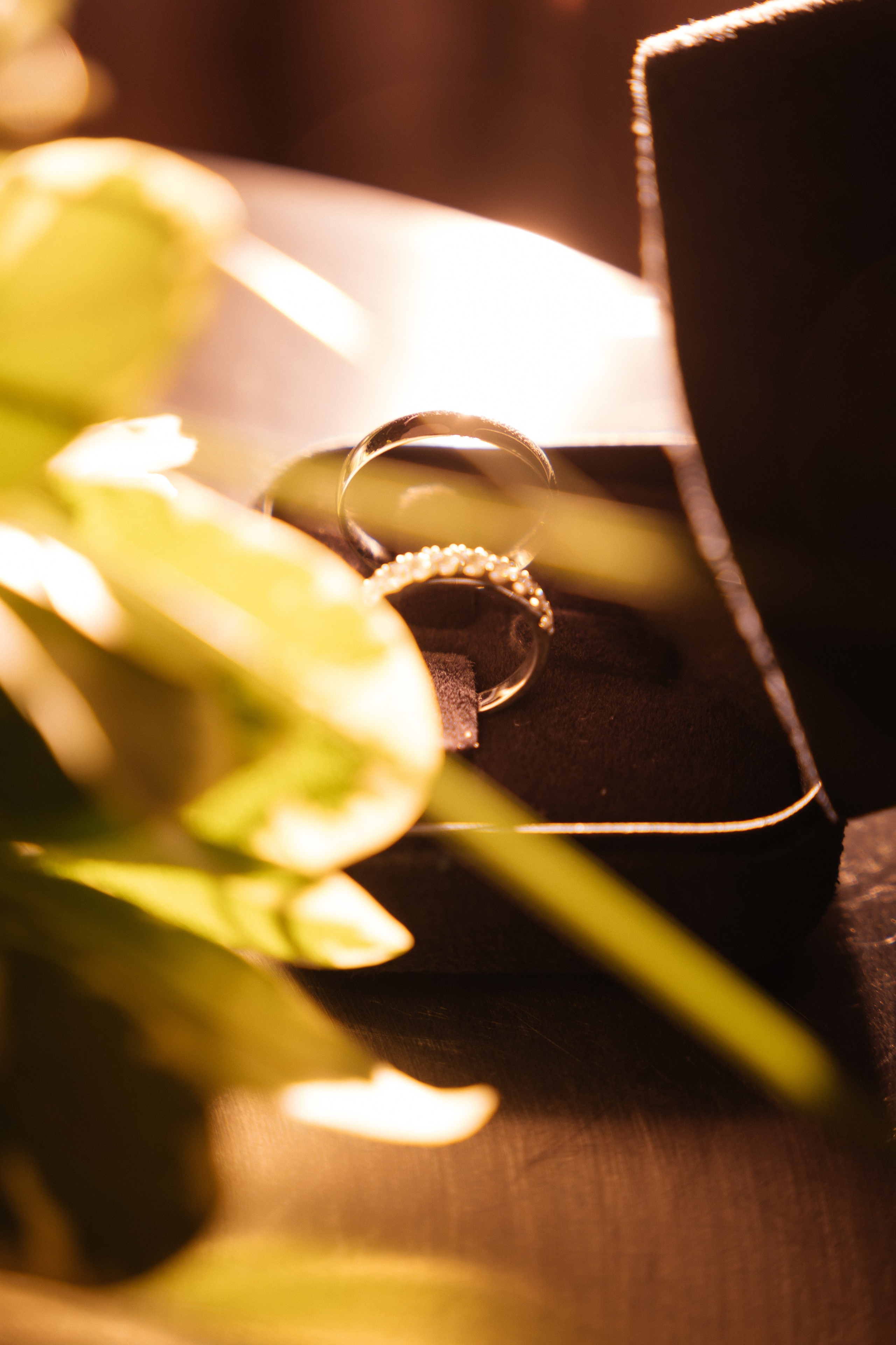 А&О Прогулка + ЗАГС. Свадебный, репортажный, семейный фотограф Елена Брюхова