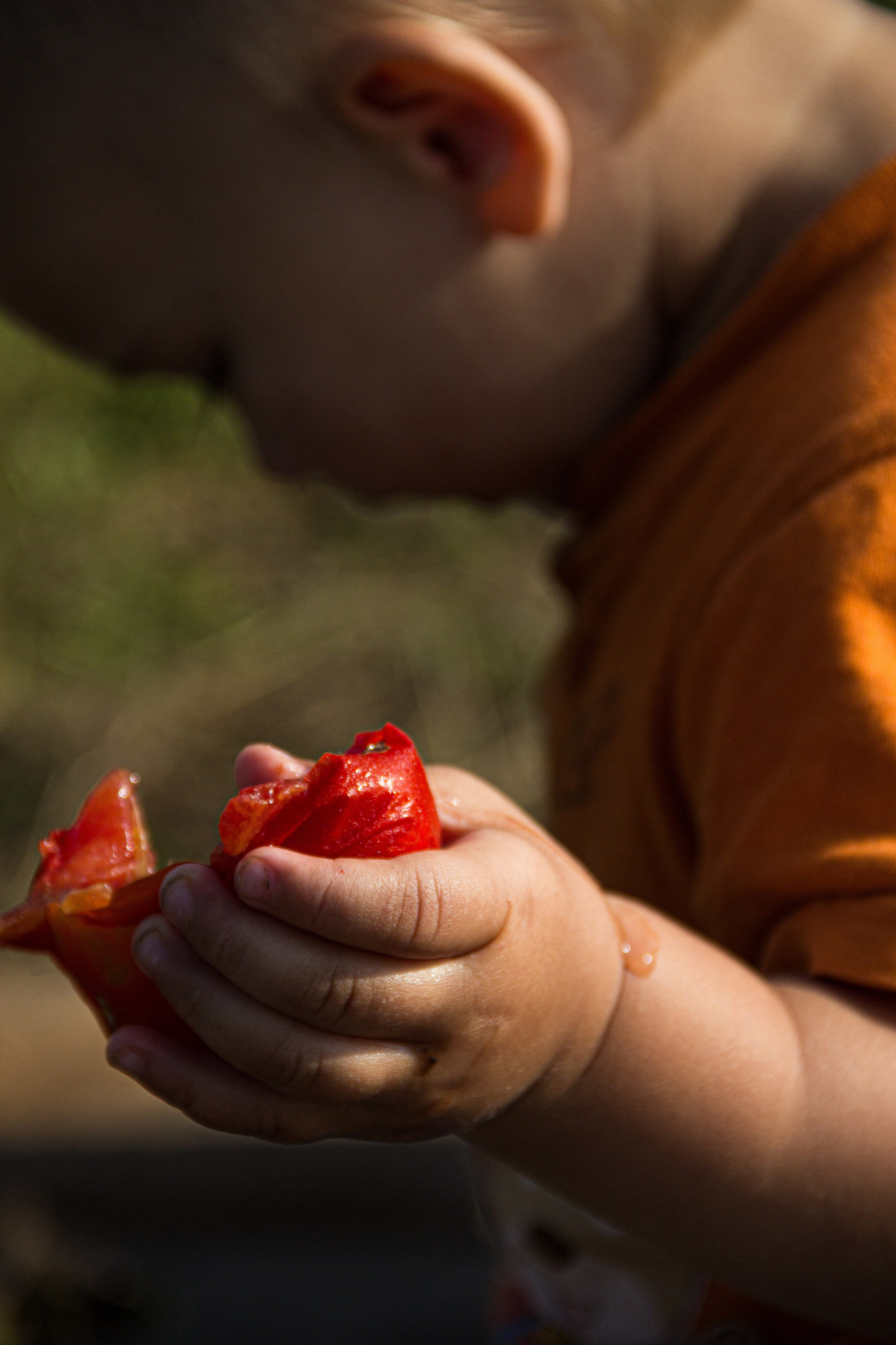 Portrait: Tomato Delight 🍅. Фотограф в Перми Любовь Огородова | Авторские туры