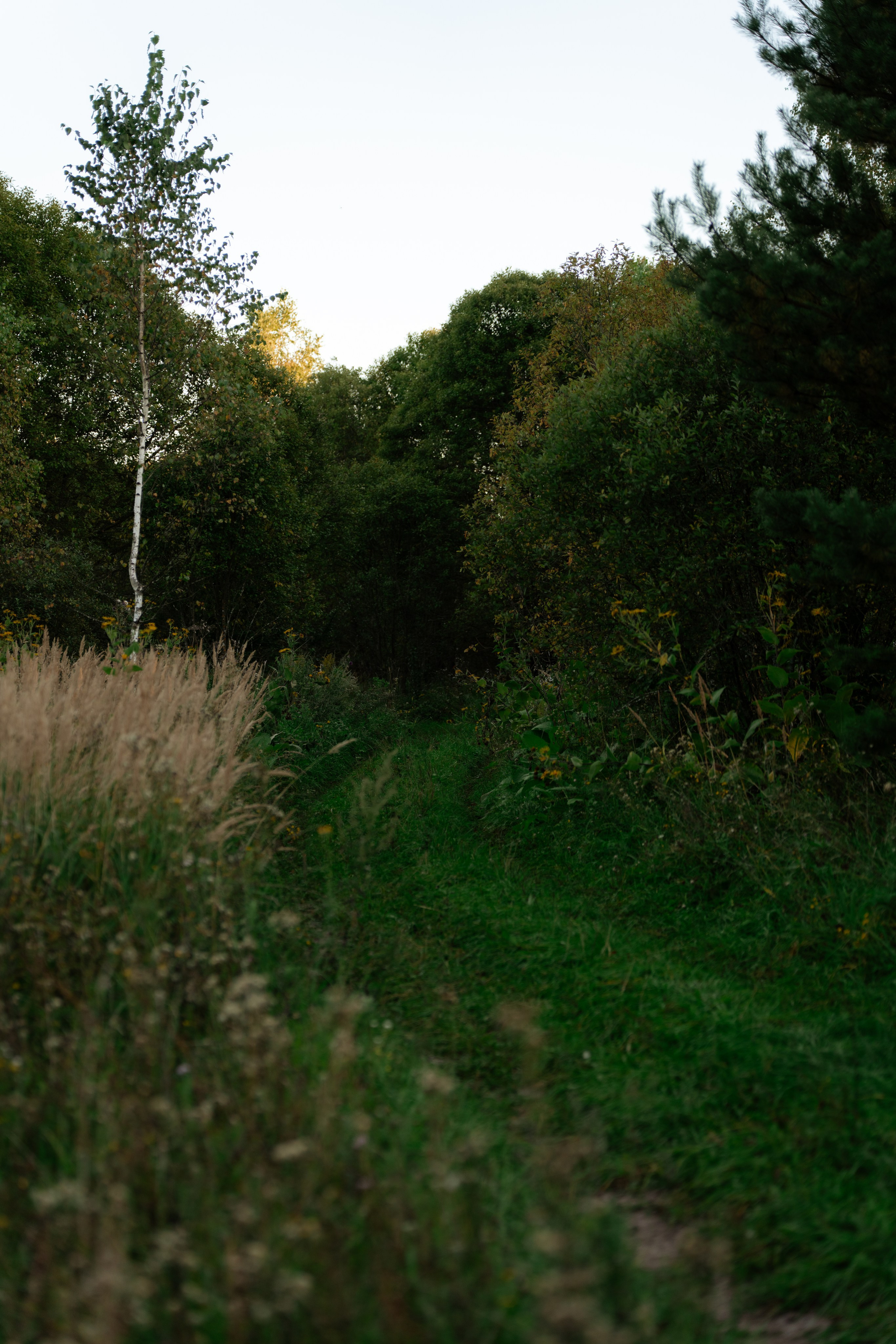 Дугна. Vlad Trykov