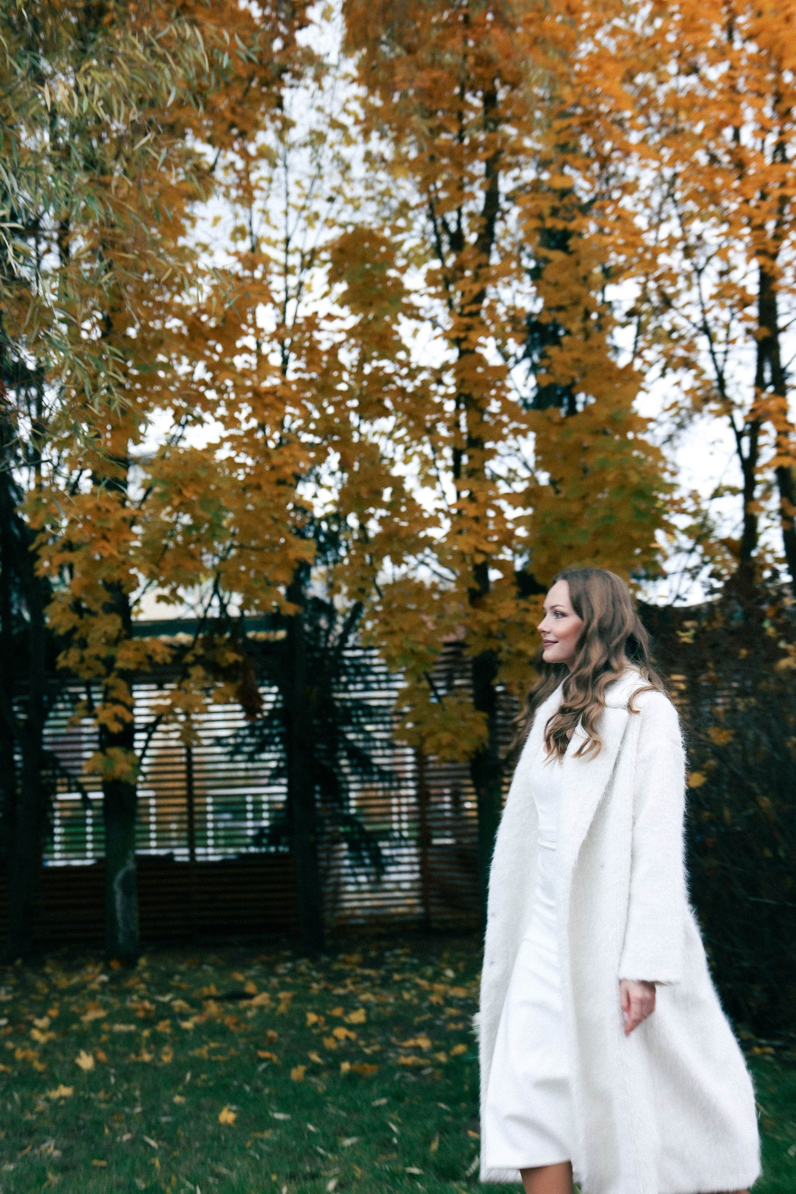 Наташа и Женя. Фотограф НатаФото (Наталья Яковенко) Дмитров Москва Питер