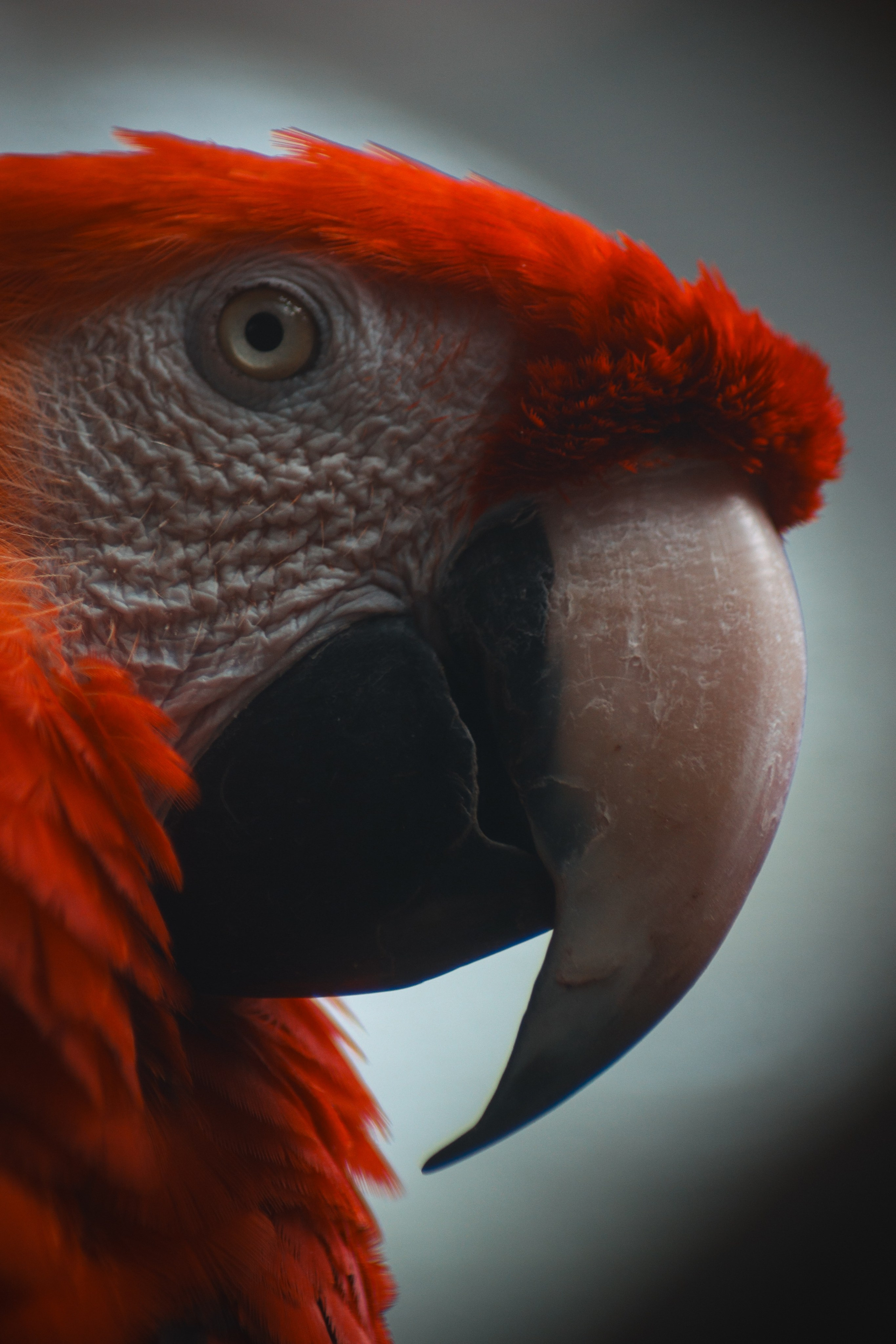 Р А З Н А Я — Ж И В Н О С Т Ь. — Digital Noise —