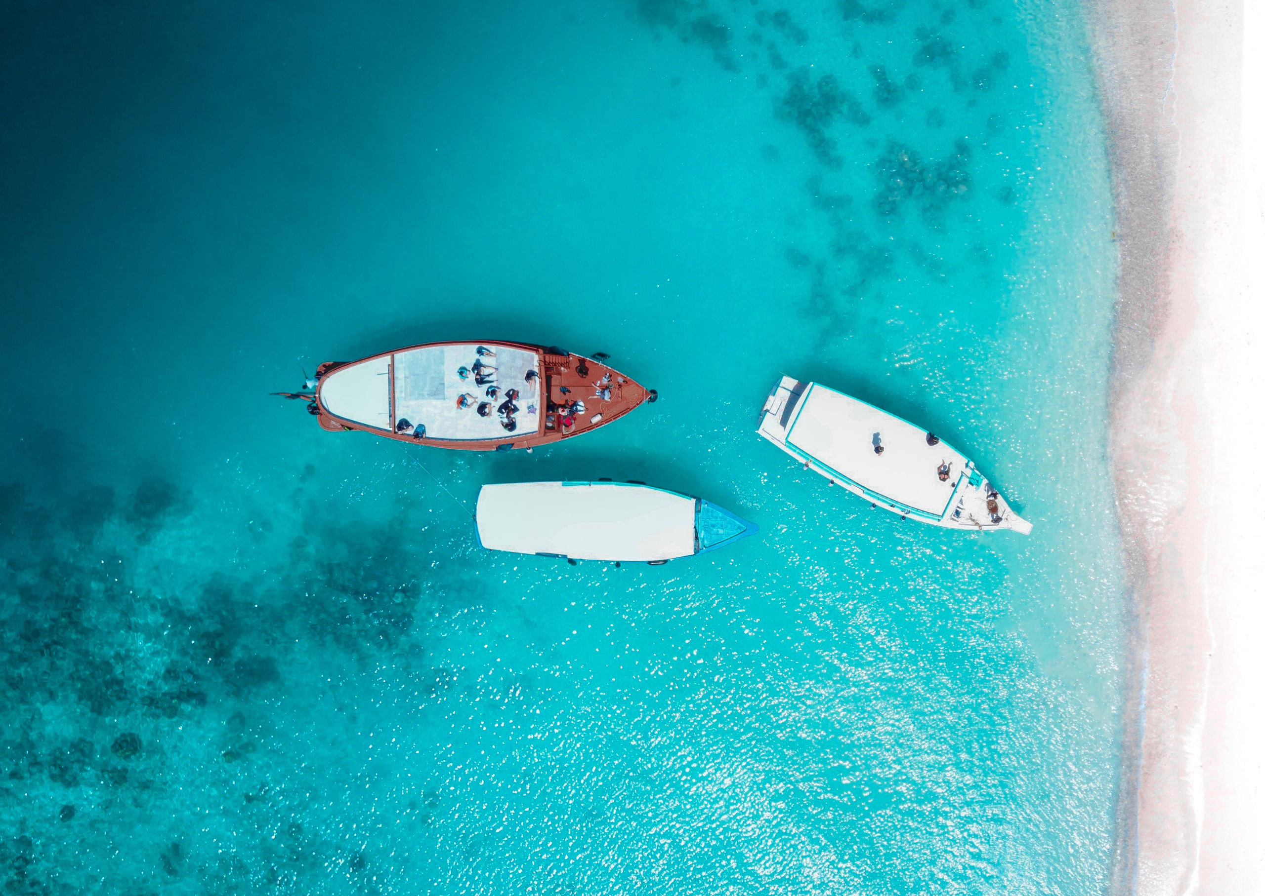 Туристическое агентство на Мальдивах Velaa Trips