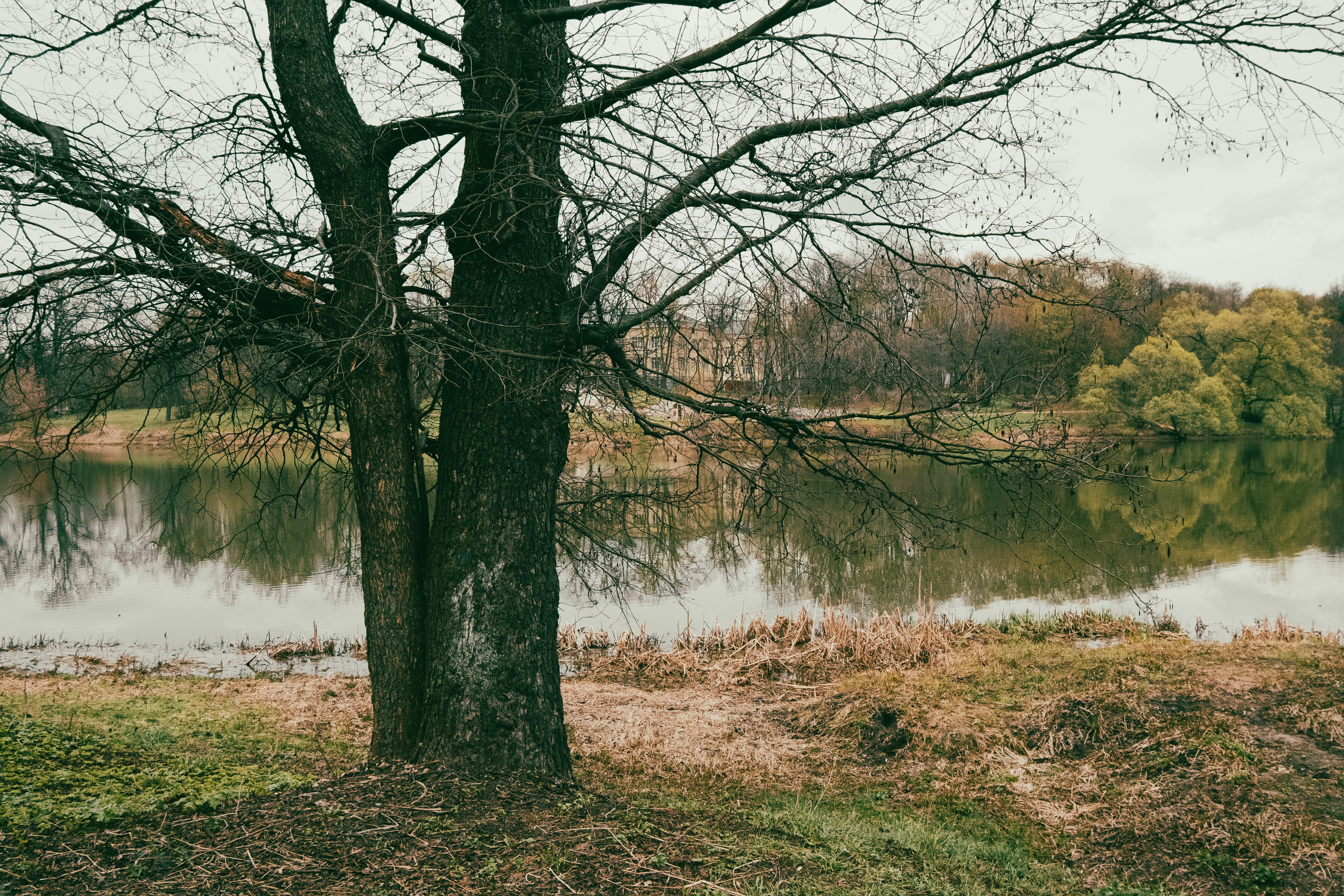 Текстуры апреля. Портретный и архитектурный фотограф в Москве и Санкт-Петербурге
