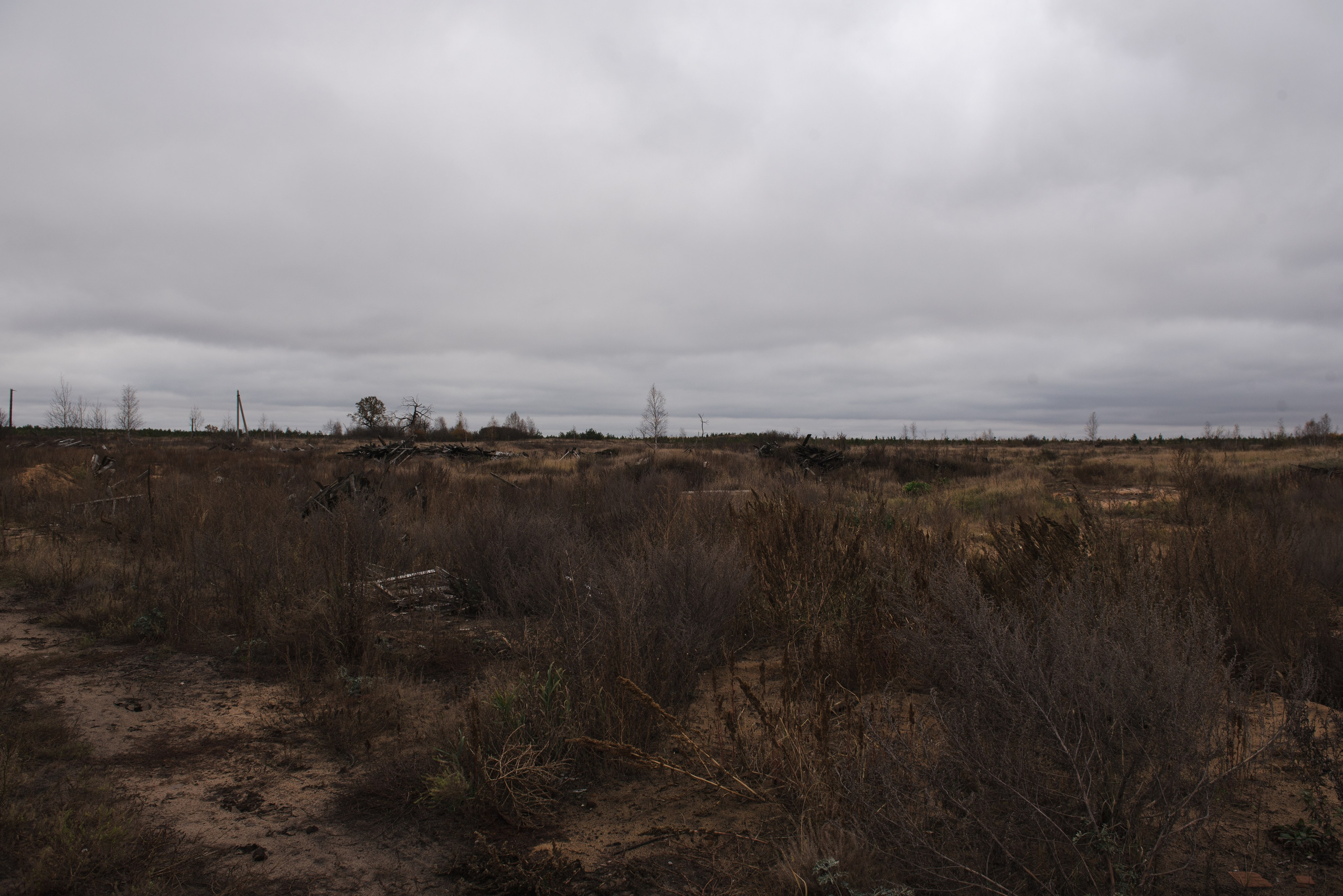 Олеся. Портретный и архитектурный фотограф в Москве и Санкт-Петербурге
