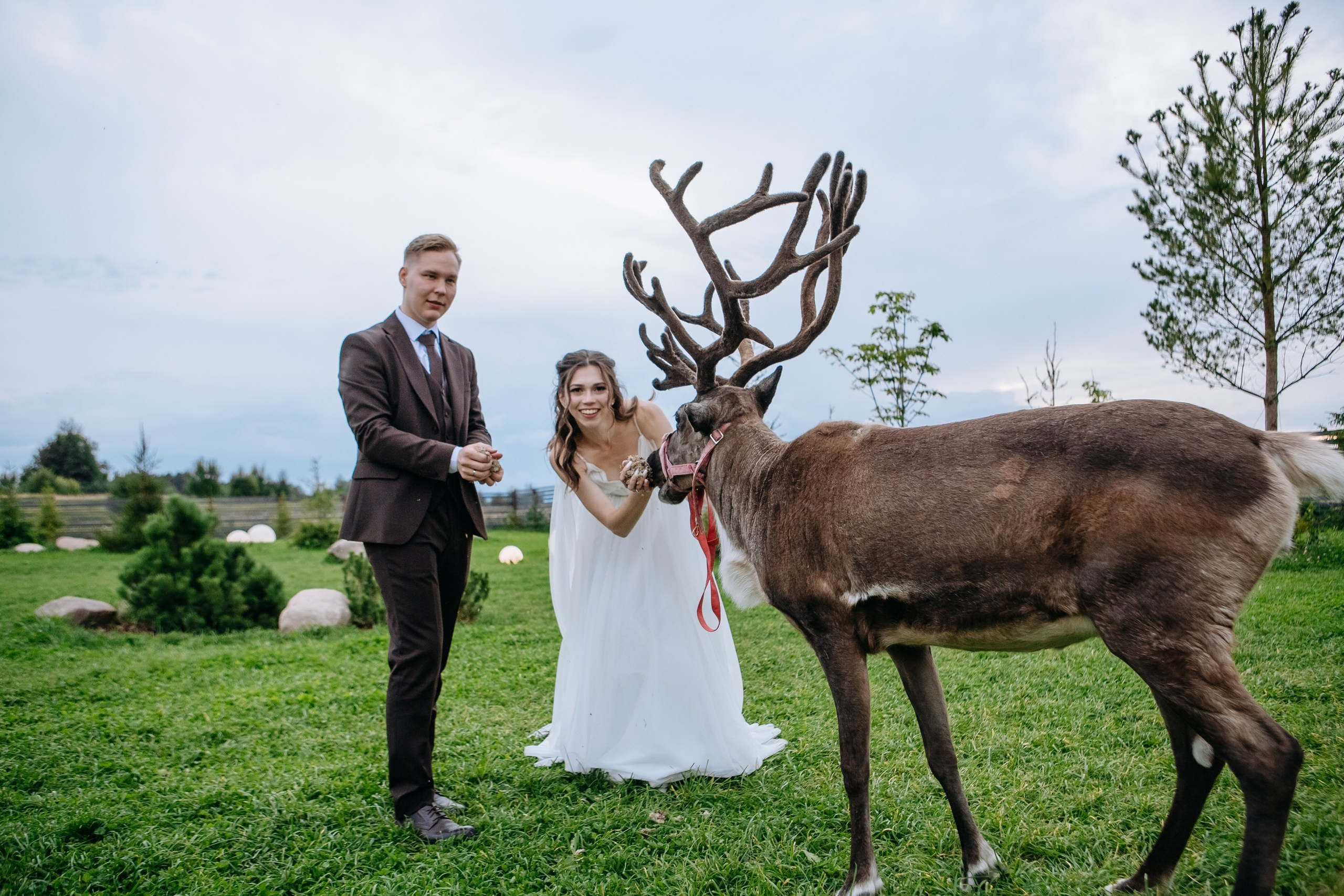 Михаил и Анастасия. Организация свадьбы — Свадебное агентство СПБ Luna Agency