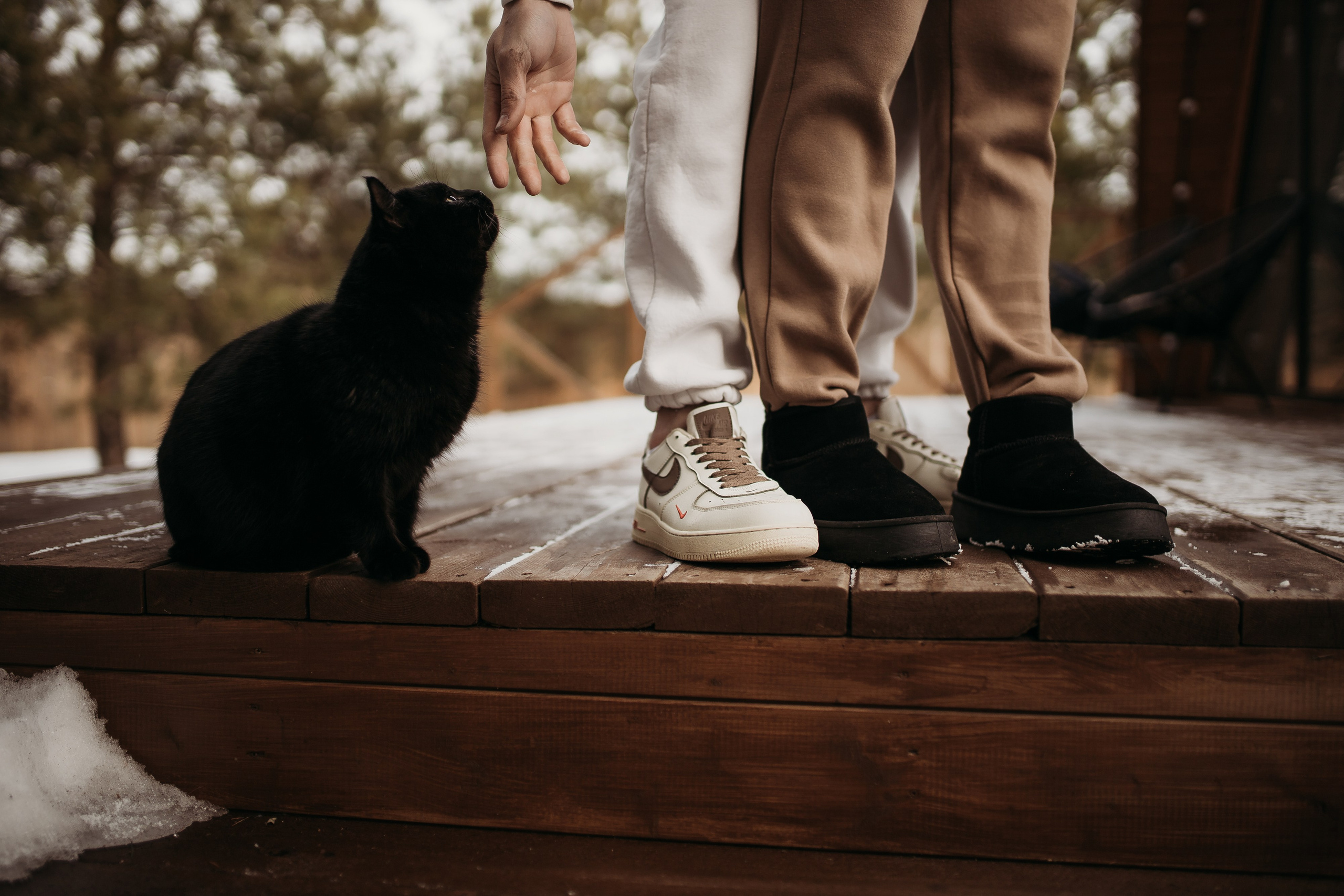 Агата и Женя. Семейный фотограф Губкин/Старый Оскол