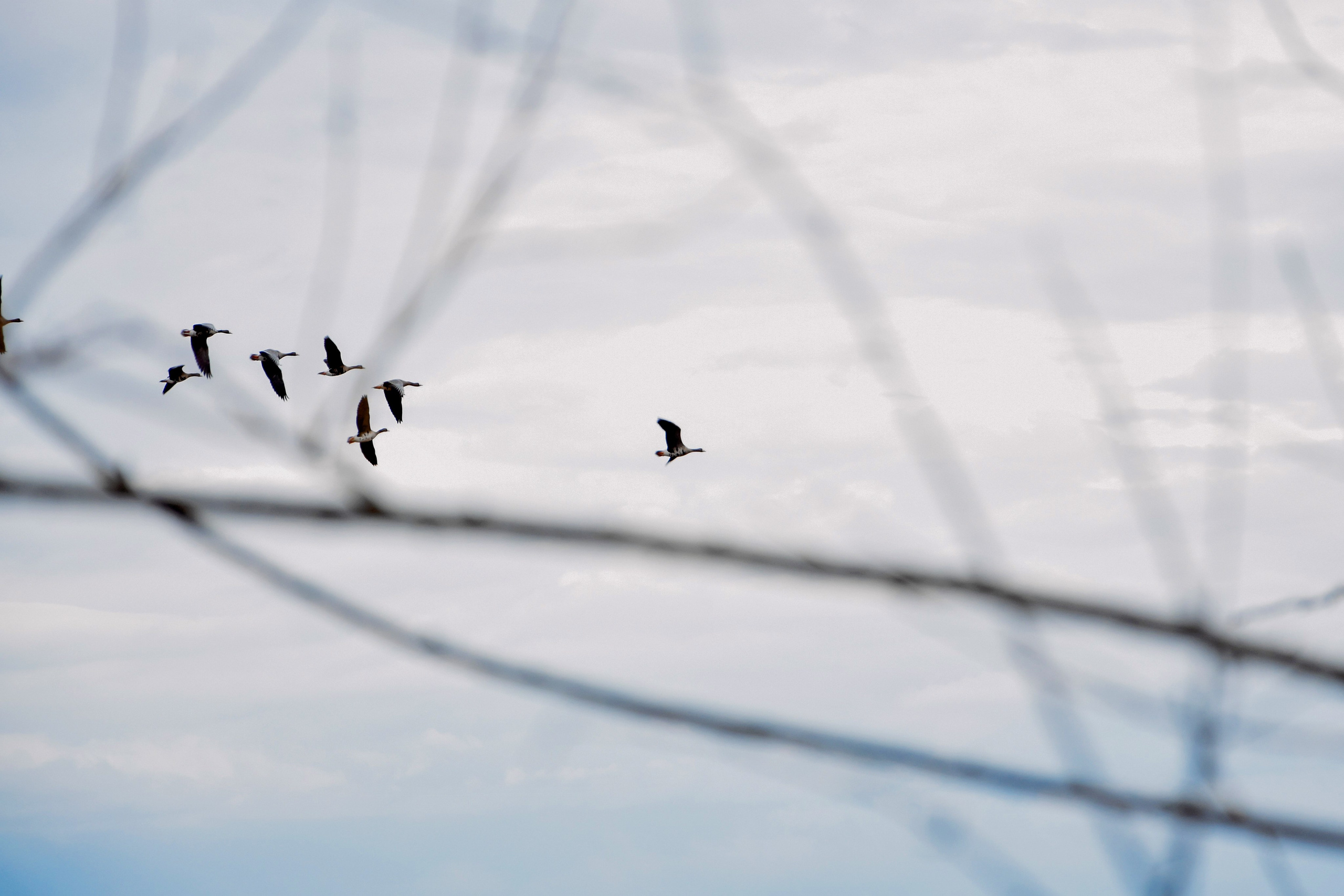 Фотосессия на природе. Фотограф в Кирове Инна Софронова