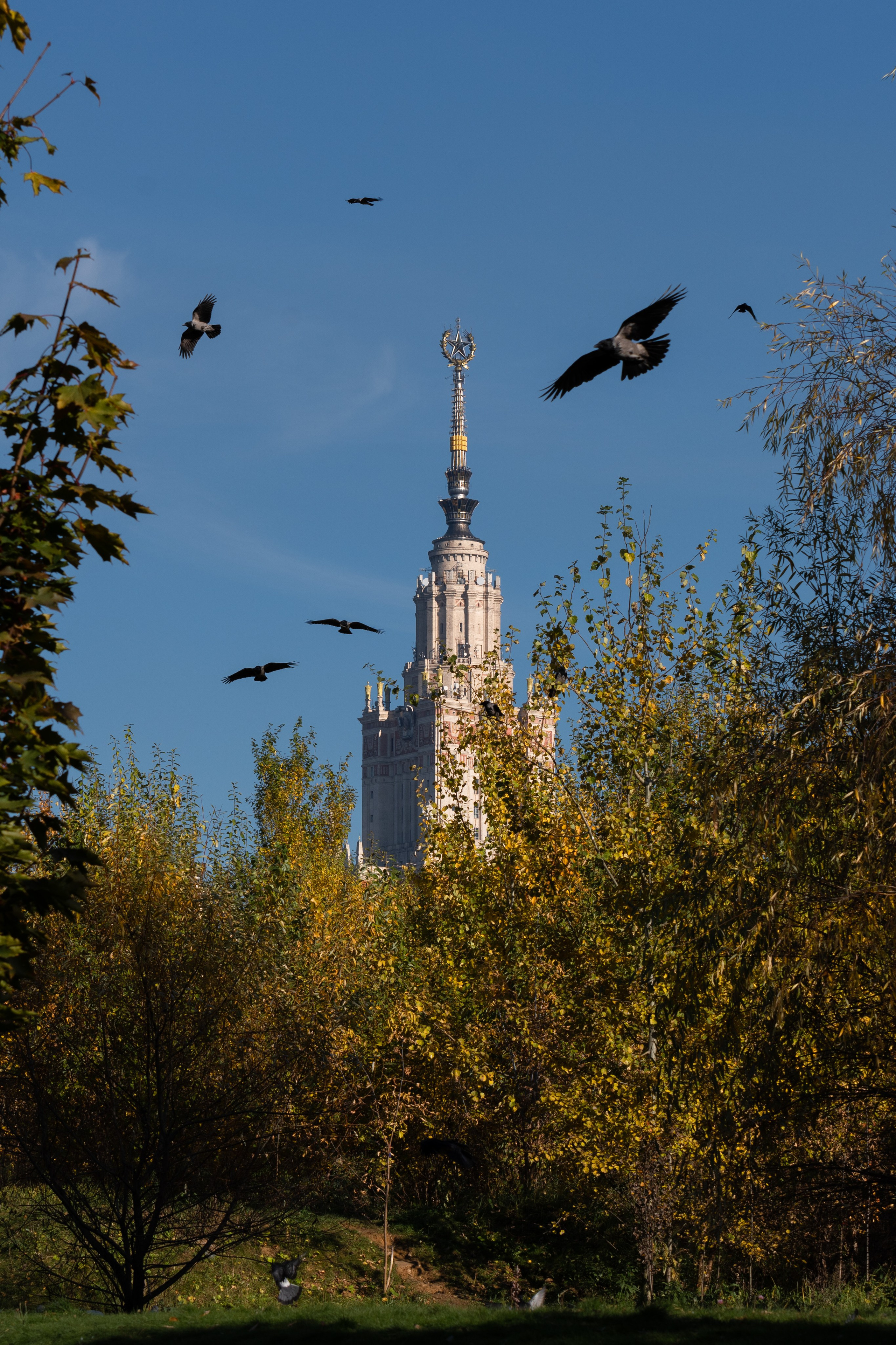 20211010 МГУ. Дмитрий Ремизов. Фотография, как хобби