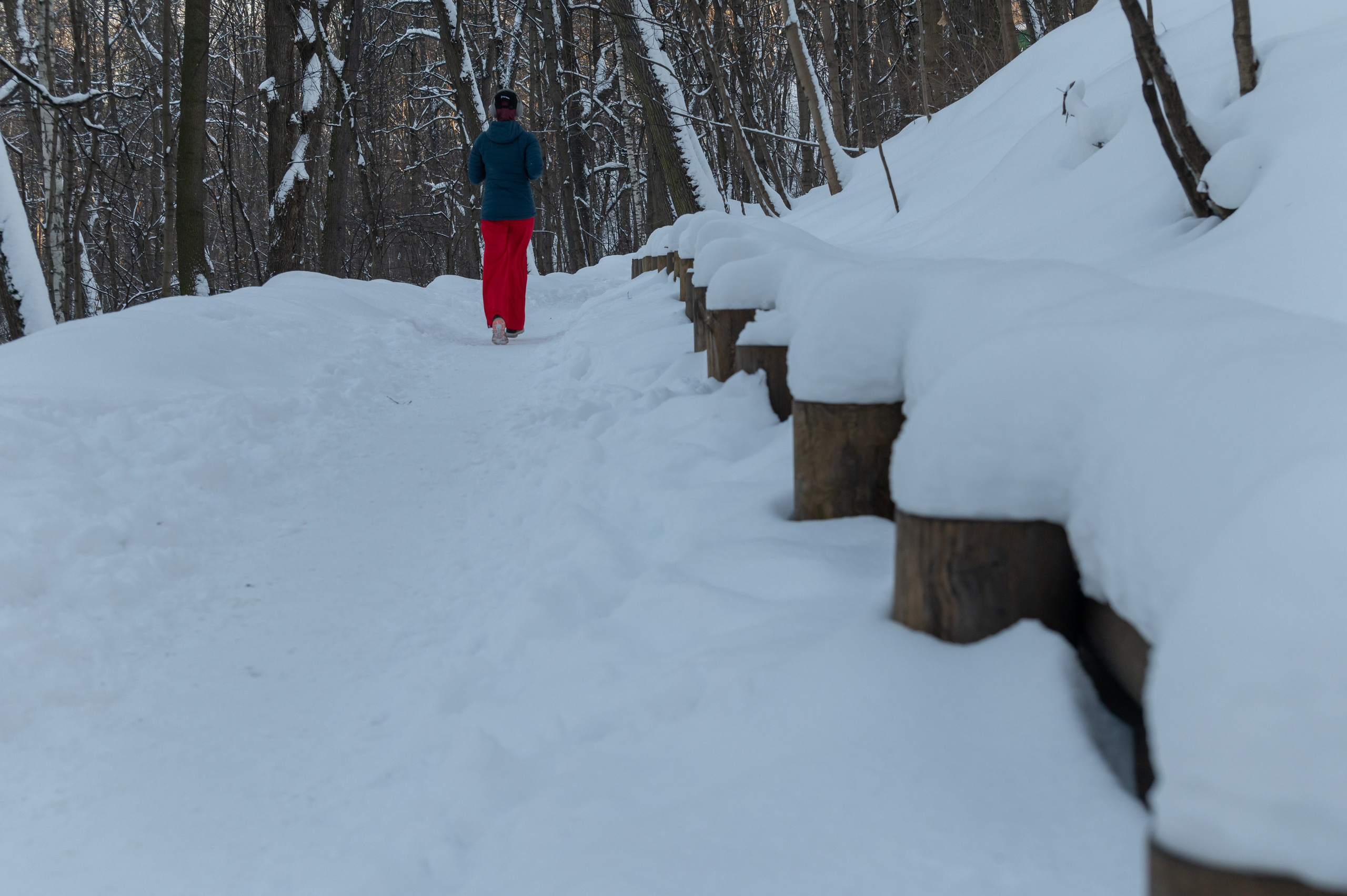 20240120 Воробьёвы горы. Дмитрий Ремизов. Фотография, как хобби