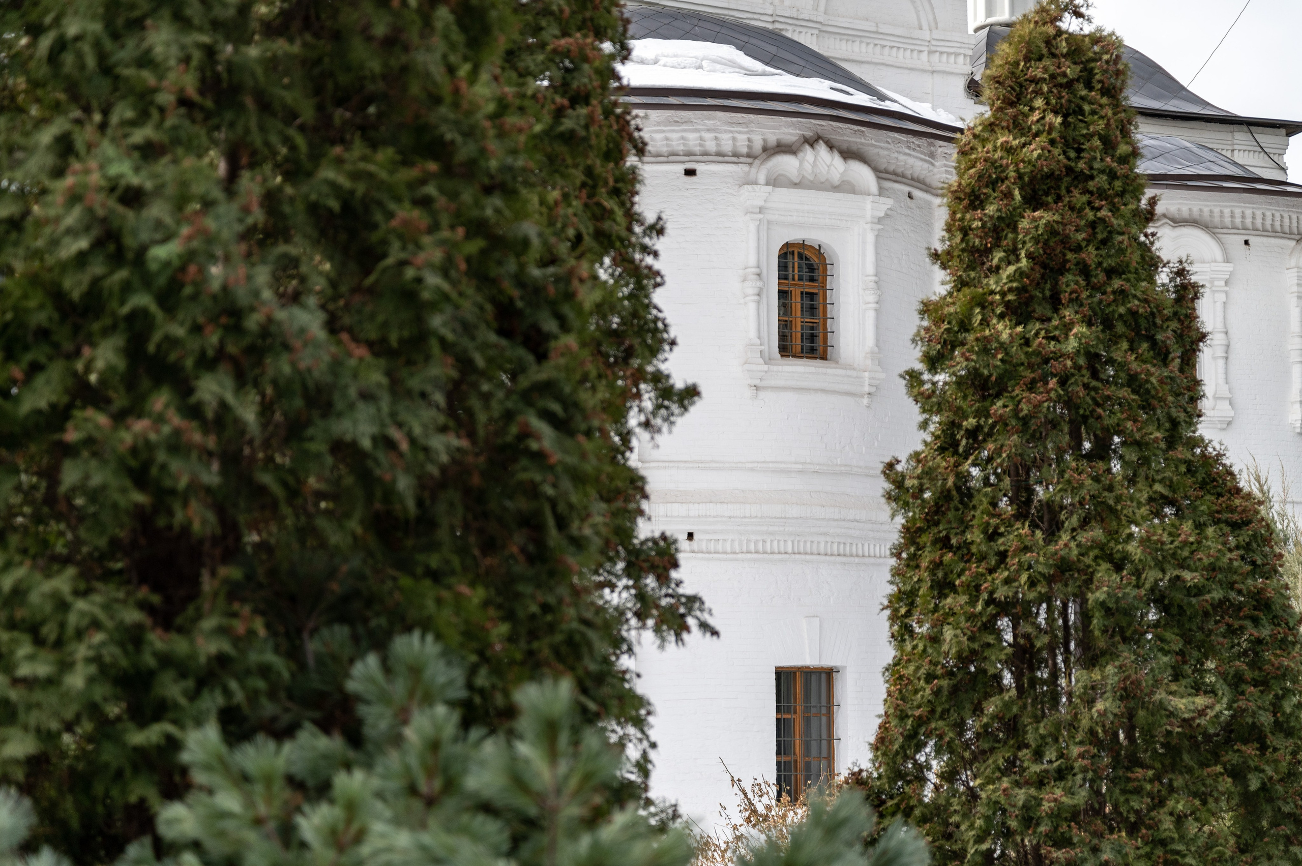 20230304 Новоспасский монастырь. Дмитрий Ремизов. Фотография, как хобби
