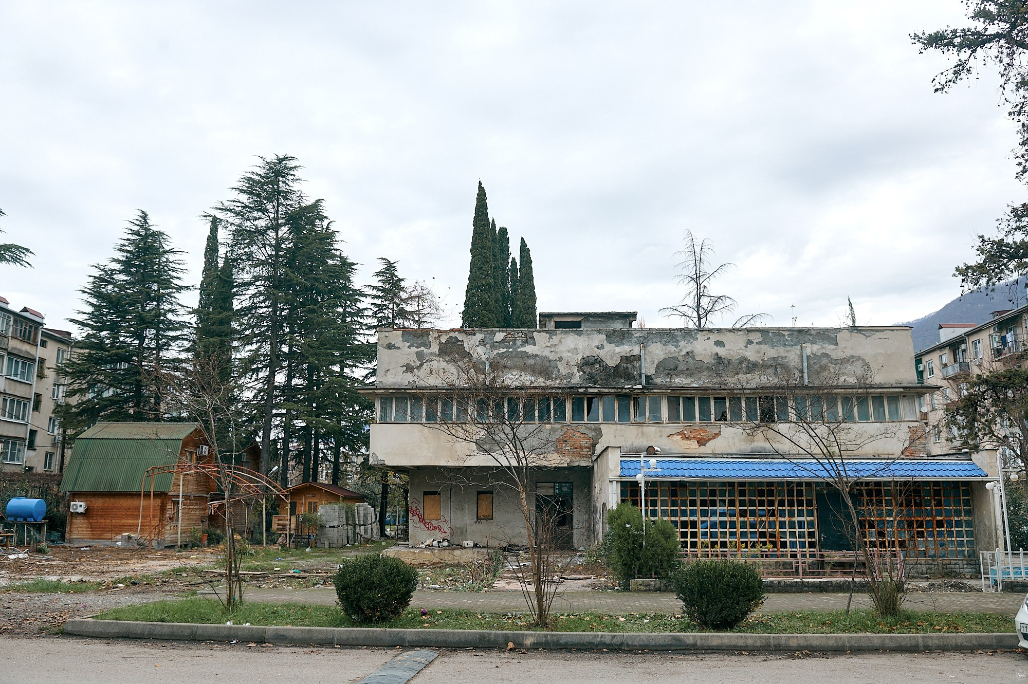 Гагра, Абхазия. Декабрь 2024. Фотографии отовсюду и обо всем