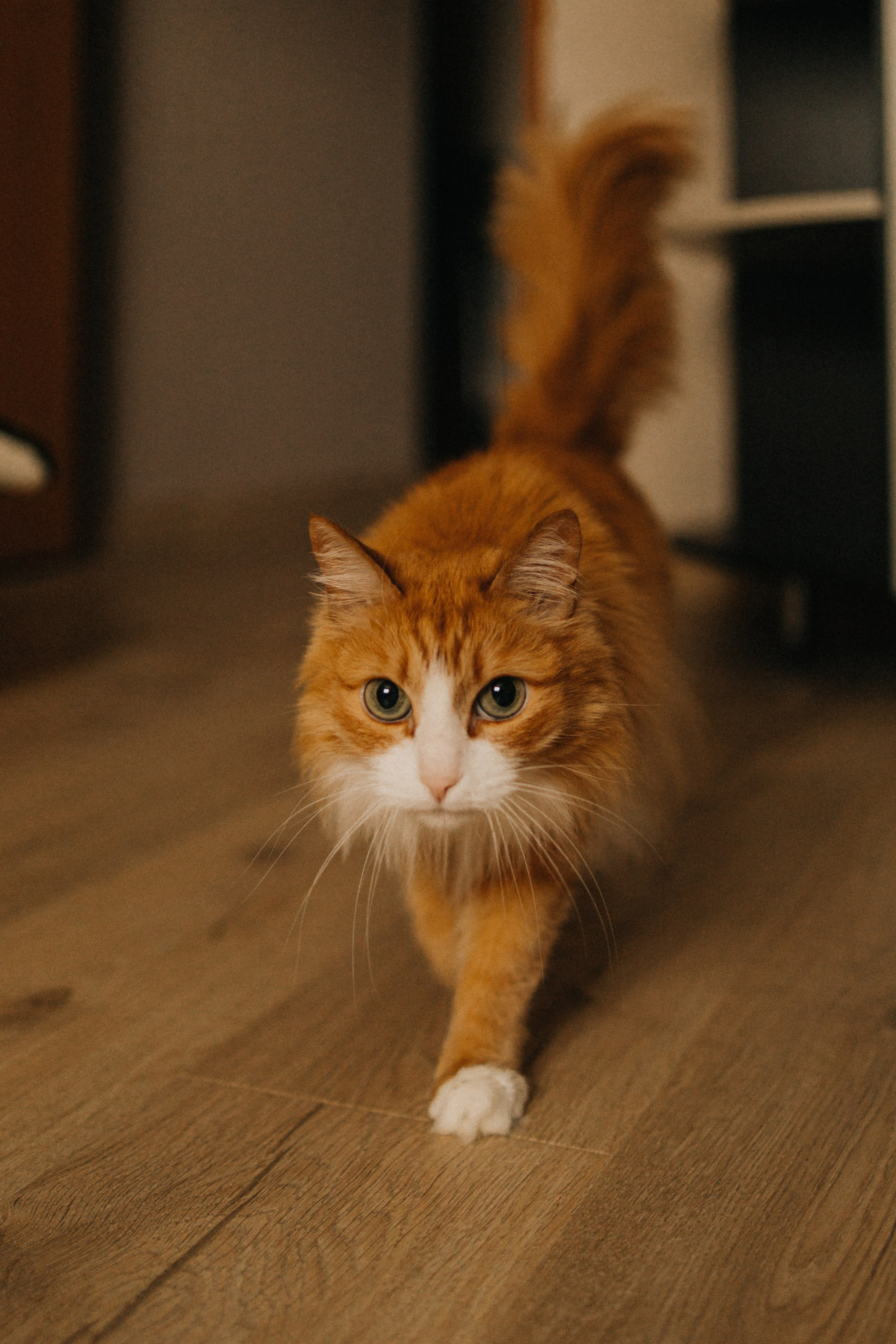 Эти кудряшки. Фотограф Настя Леонова