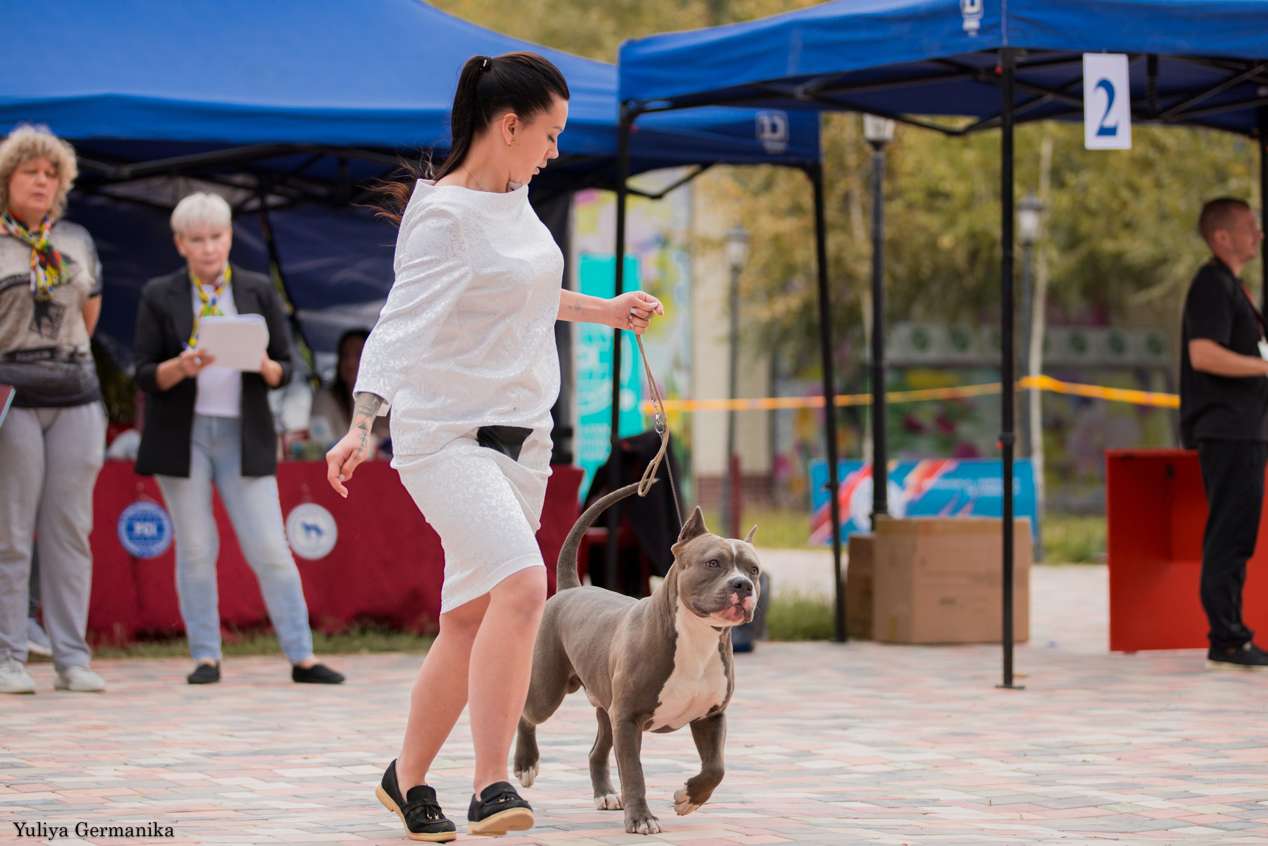 Ташкент 6-8.10.2023 + Алматы 14-15.10.2023. Фотограф-анималист Юлия Германика