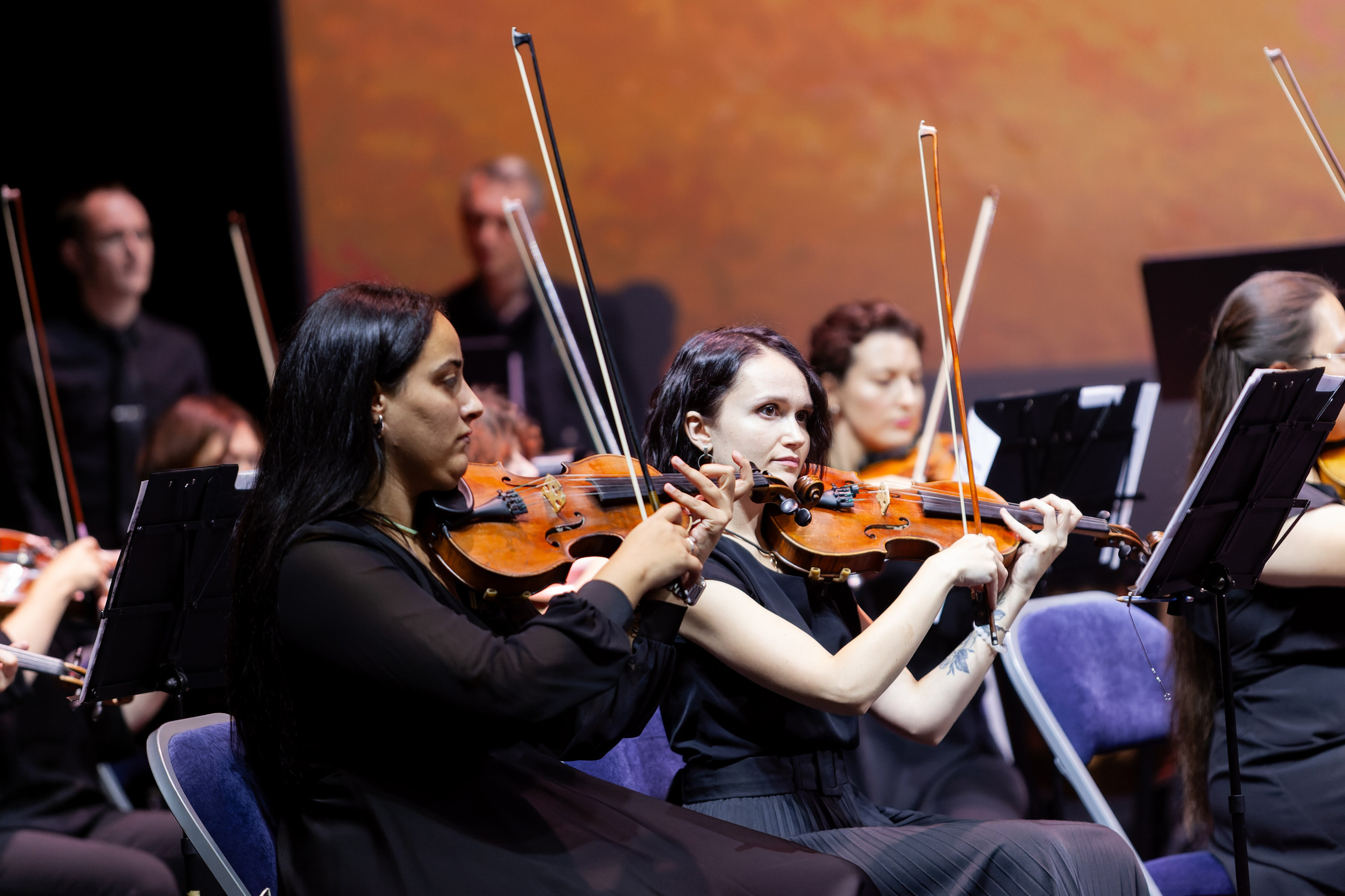 Концерт Южно-Сахалинского симфонического оркестра. Кутузов Евгений Фотограф в Южно-Сахалинске